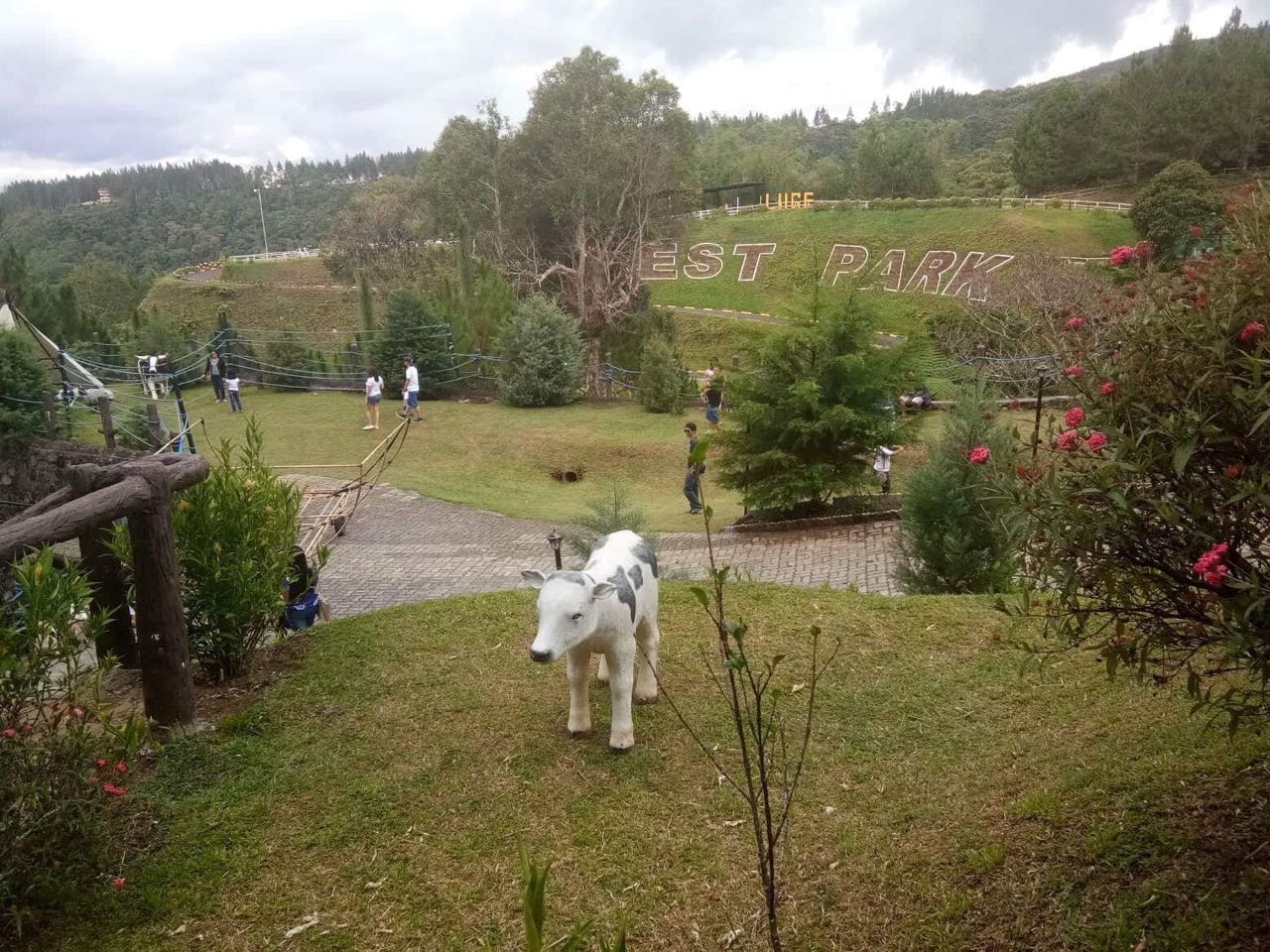 IMG-20180615-WA0002.jpg