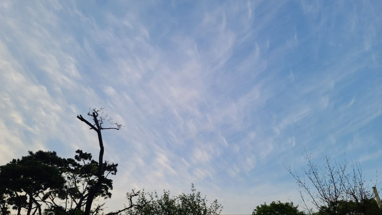 IMAGE 2026-06-21 07:07:48.jpg