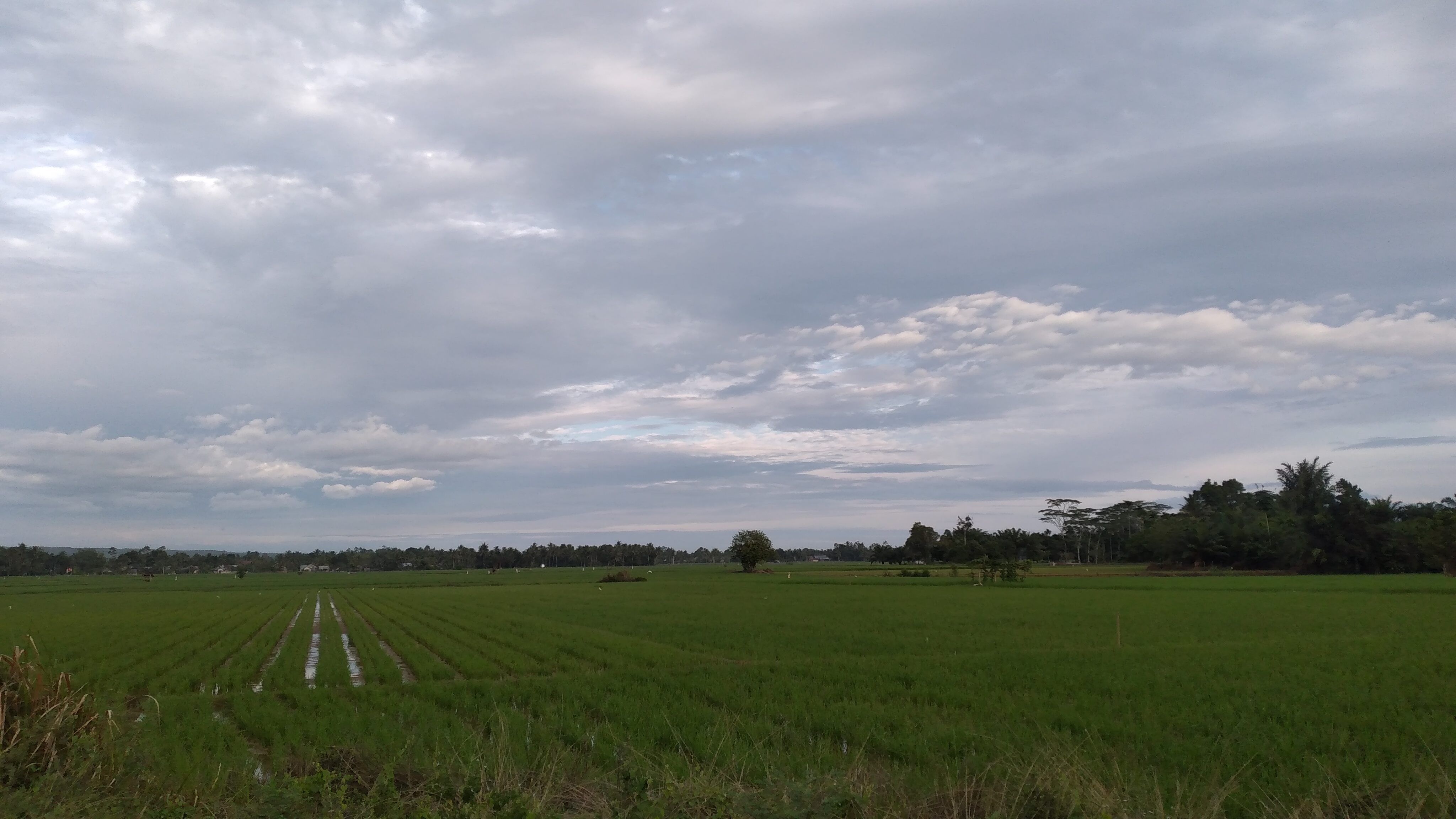 20220924_070334.jpg