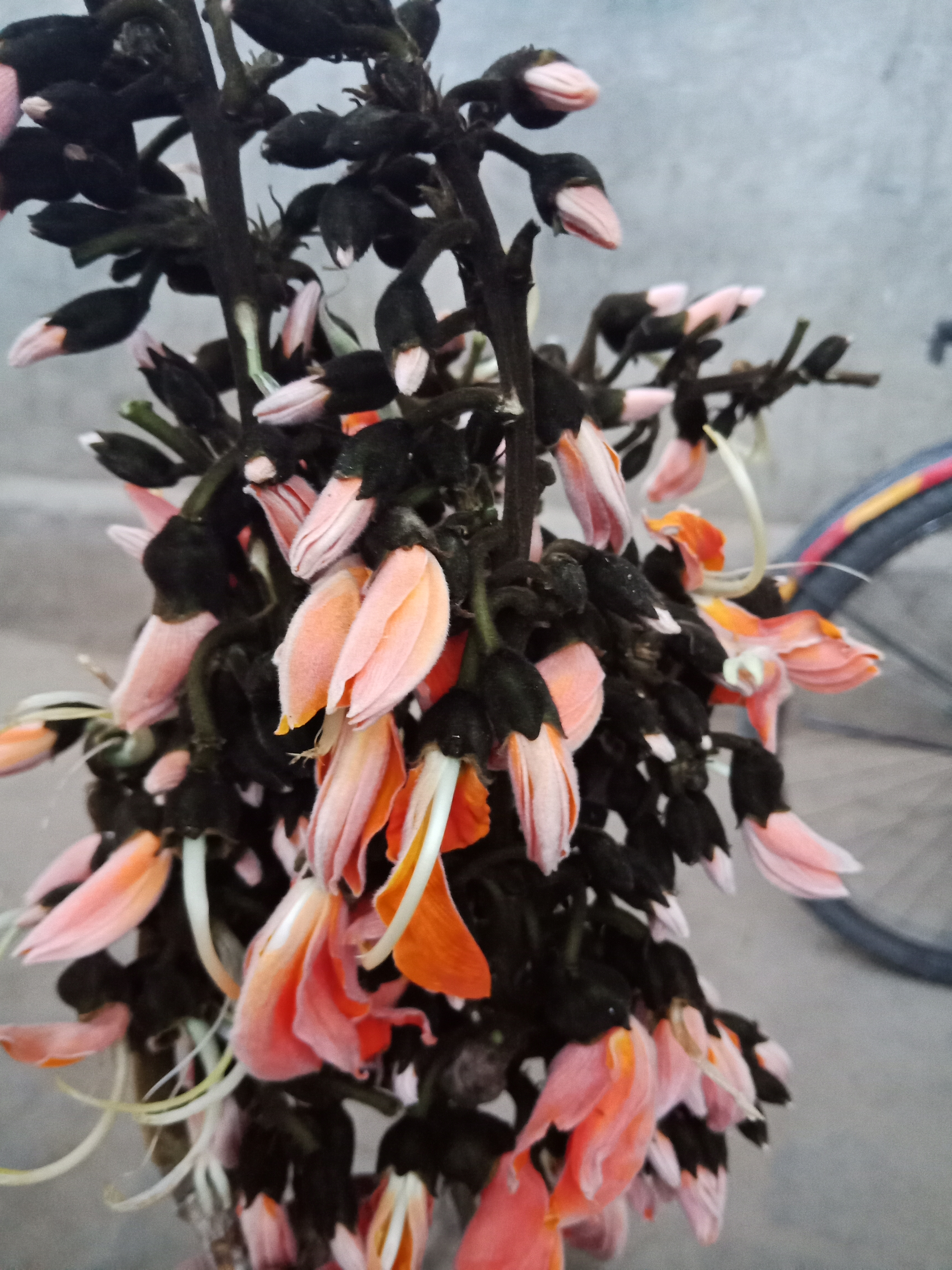 IMG20190317174802.jpg
