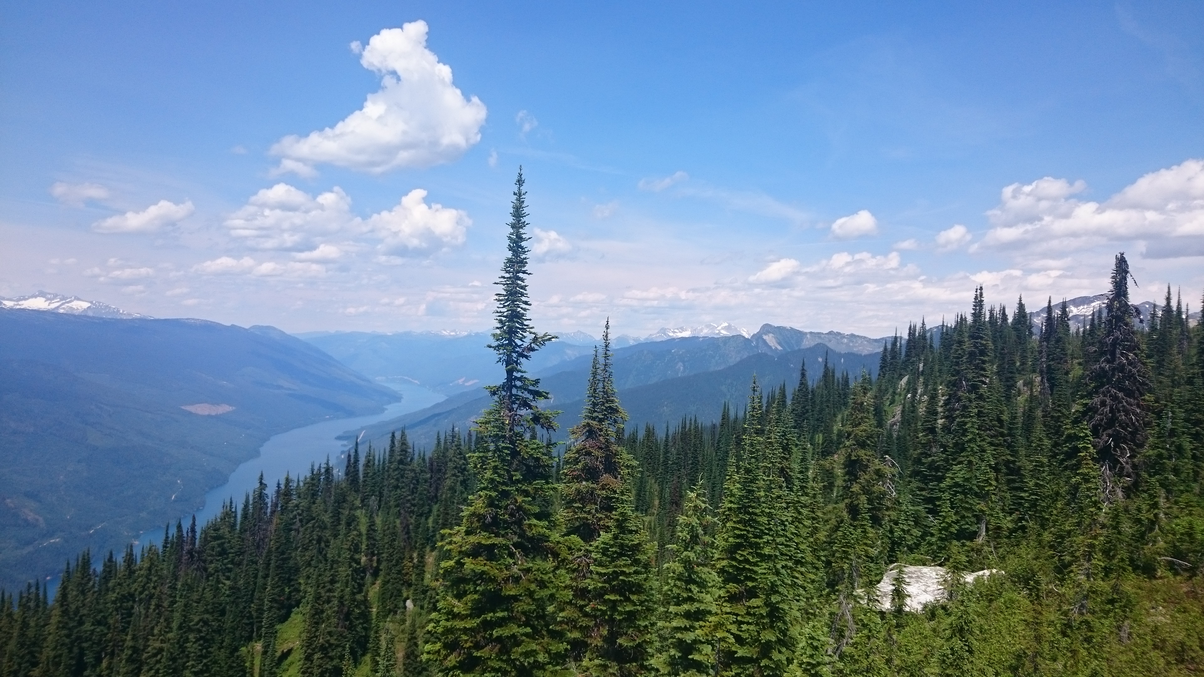 DSC_1813.JPG