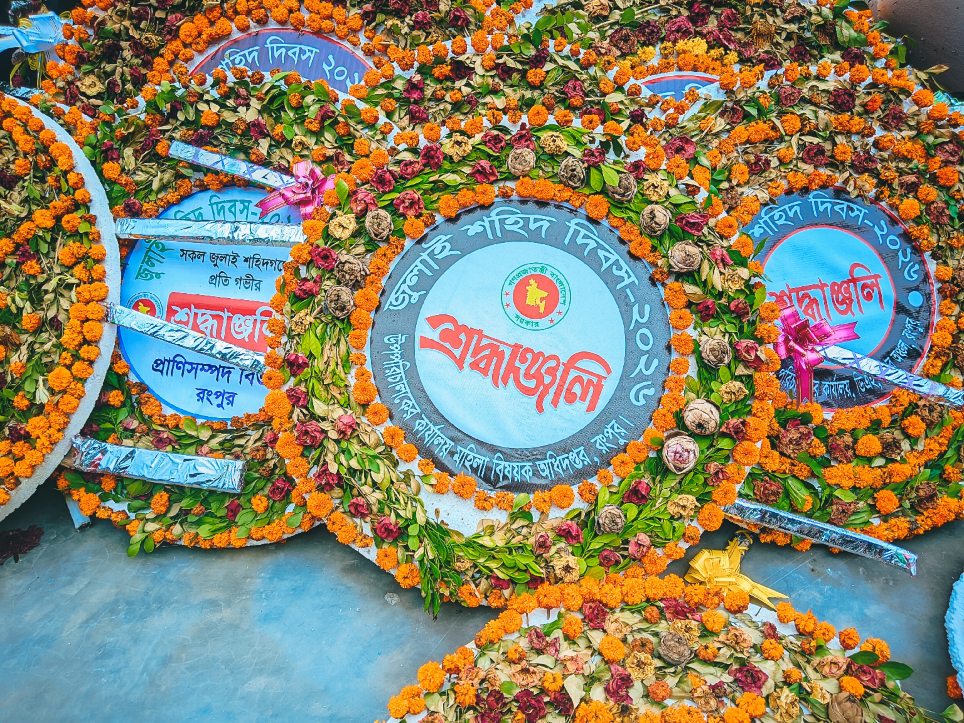 1000108623.jpg