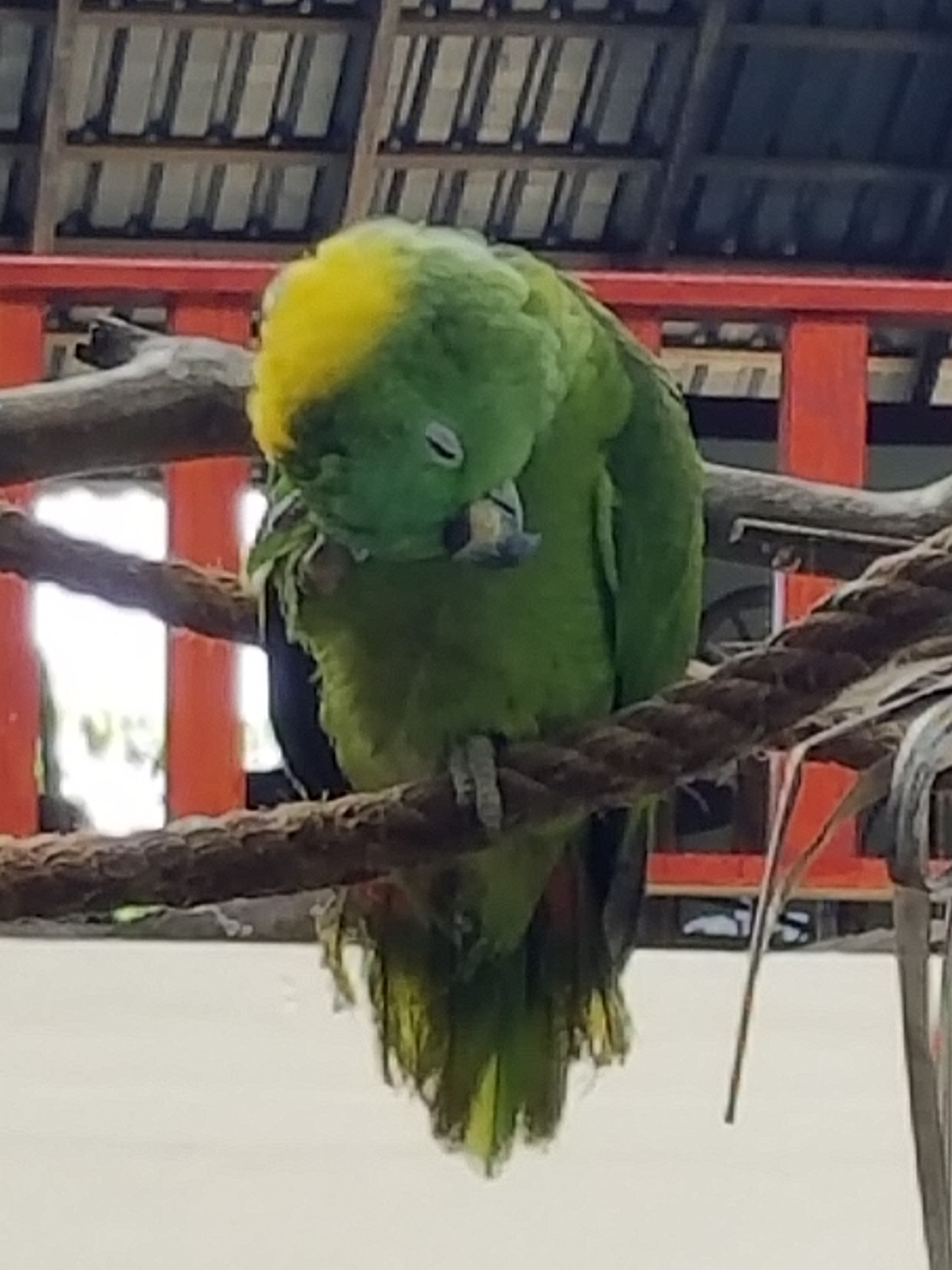 20180619_101022.jpg