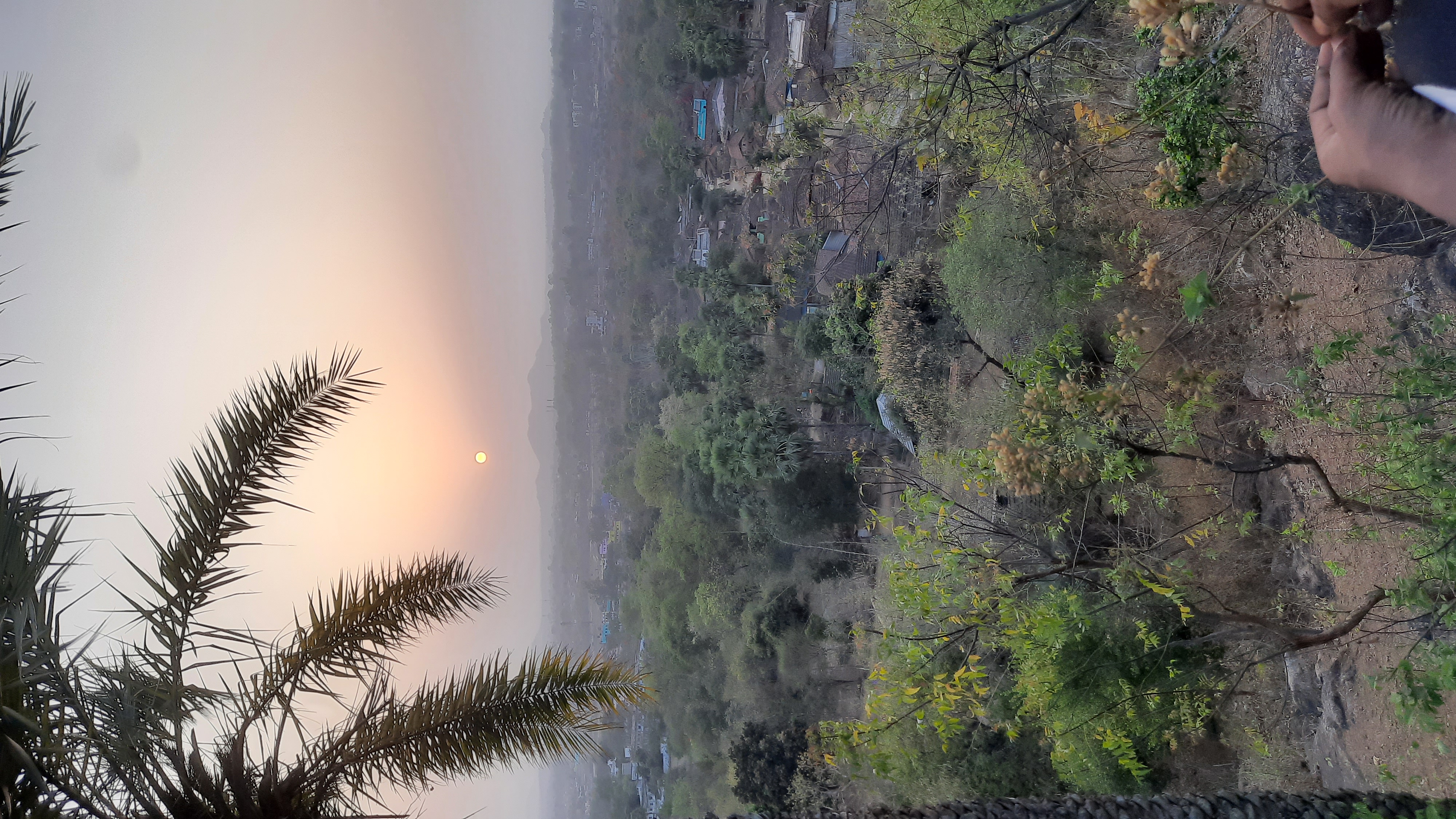 20210316_173354.jpg