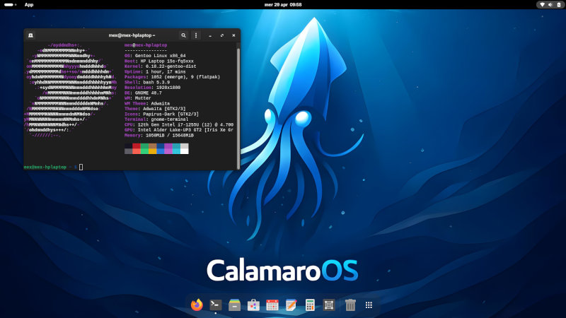 calamaroos-800px.png