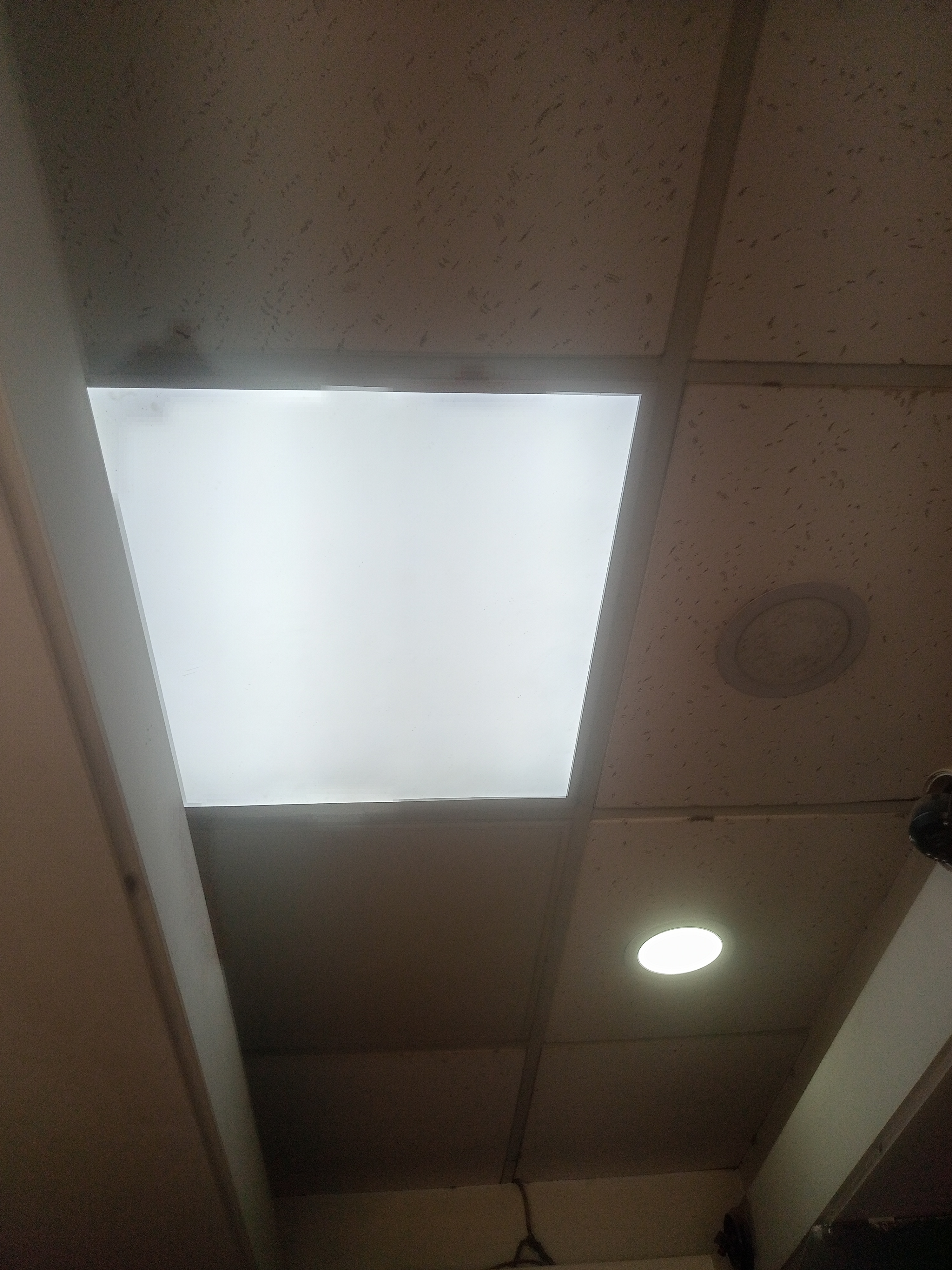 IMG20260131123827.jpg