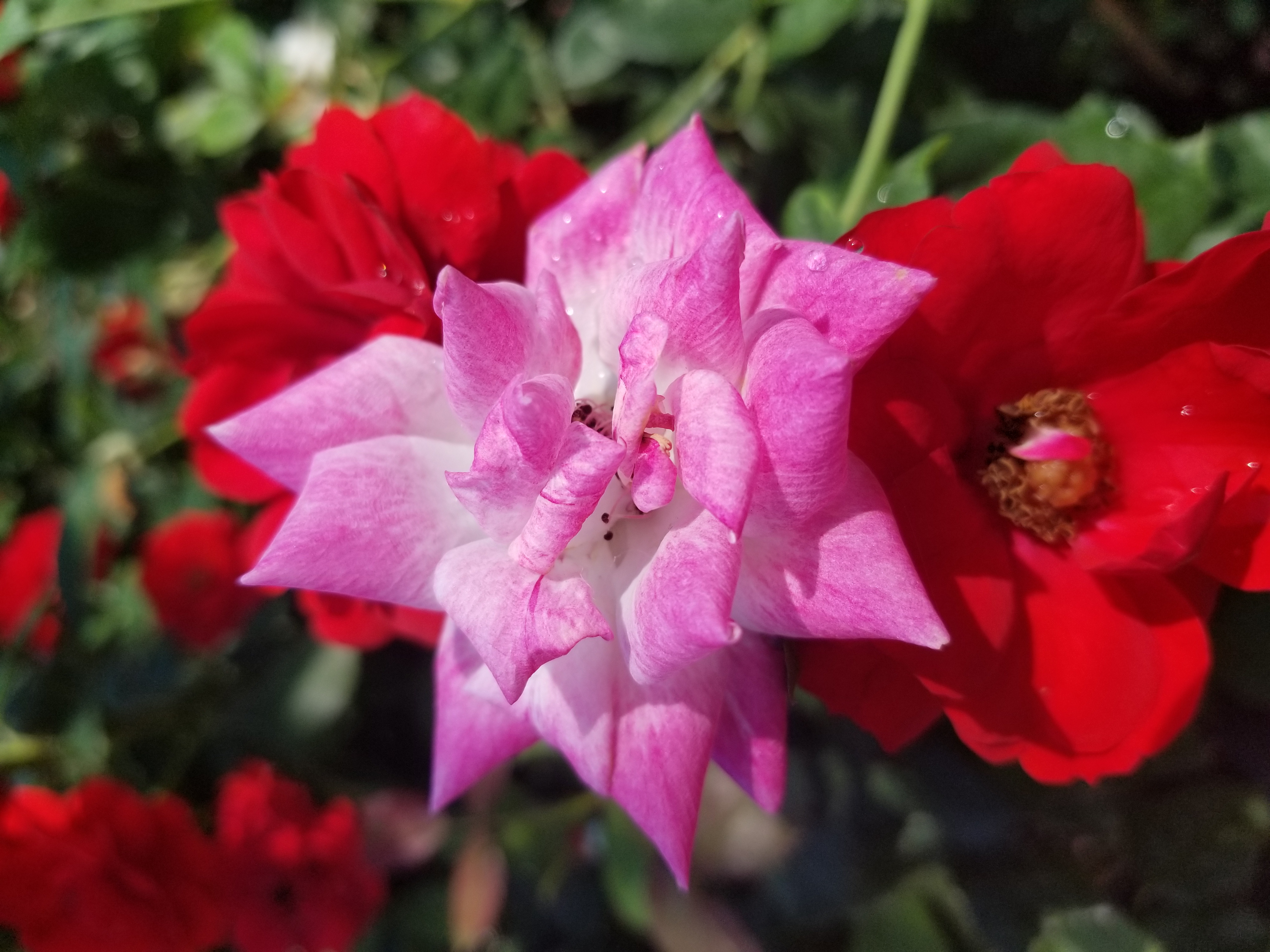 20180714_113256.jpg