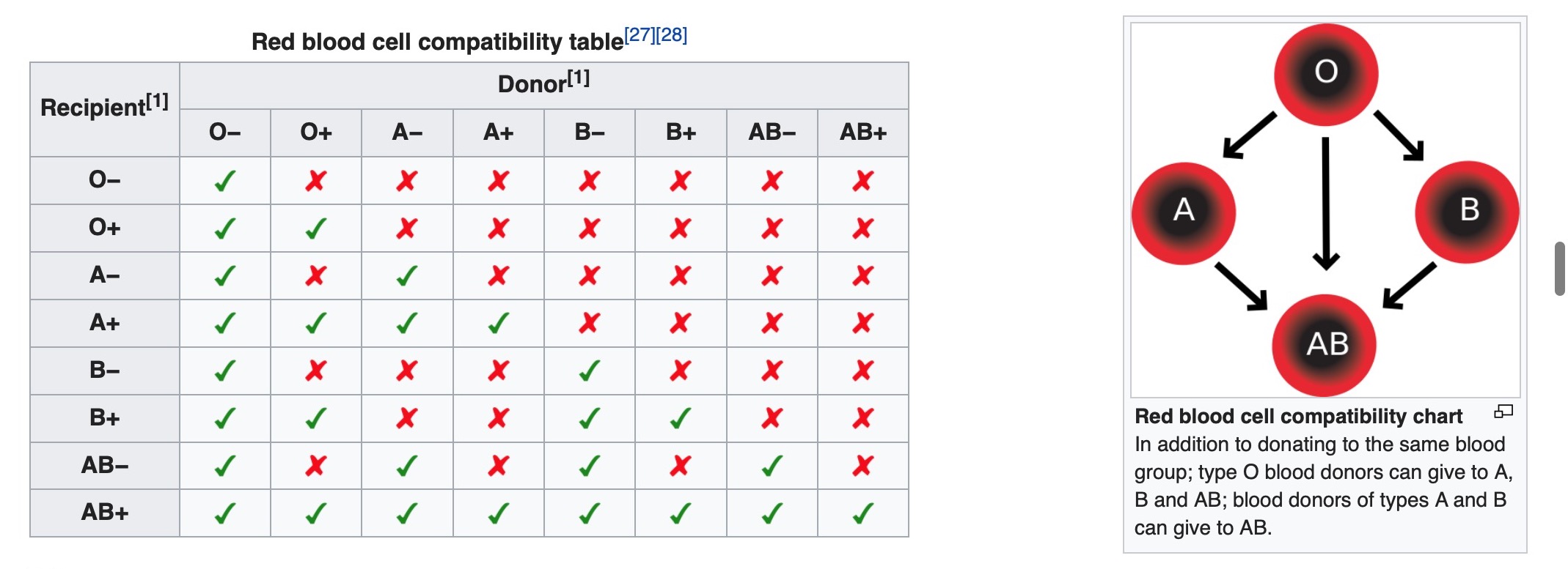Red Blood Cell Compatibility Table - AB+ - O- .jpg