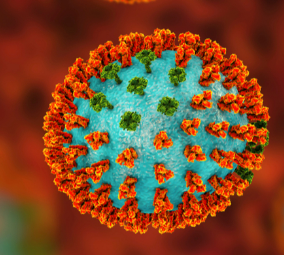 flu.PNG