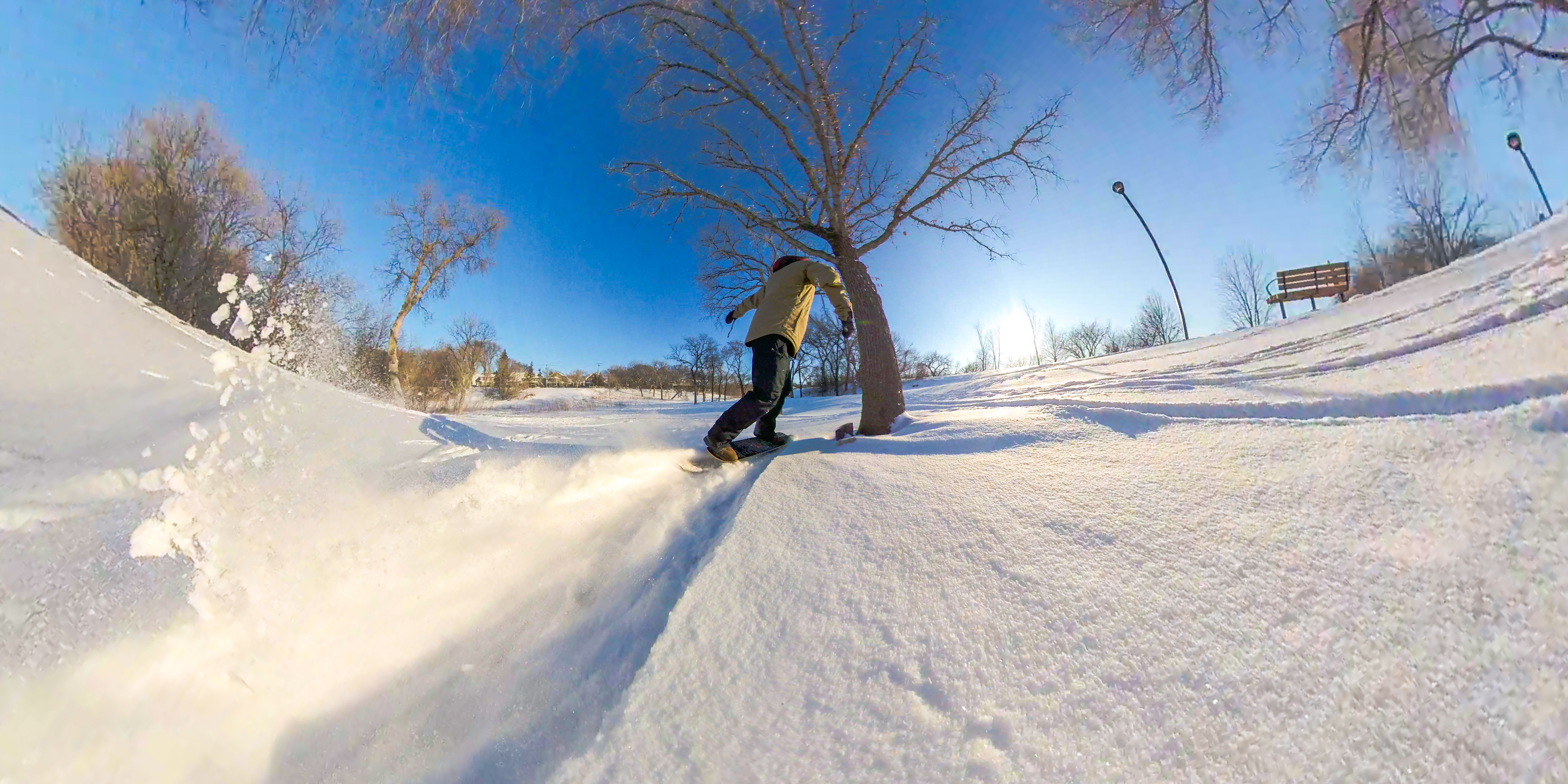 Playing In The Snow - Tree Barrels!