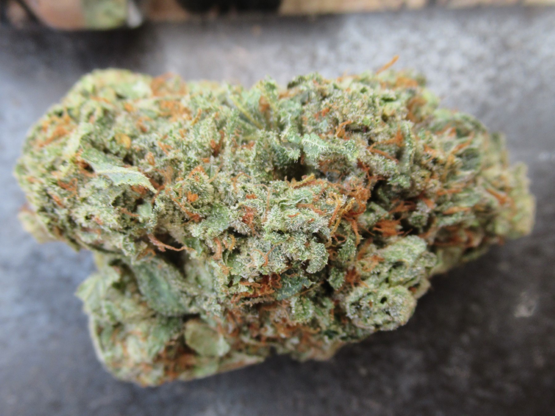 fullnugtopbright.jpg
