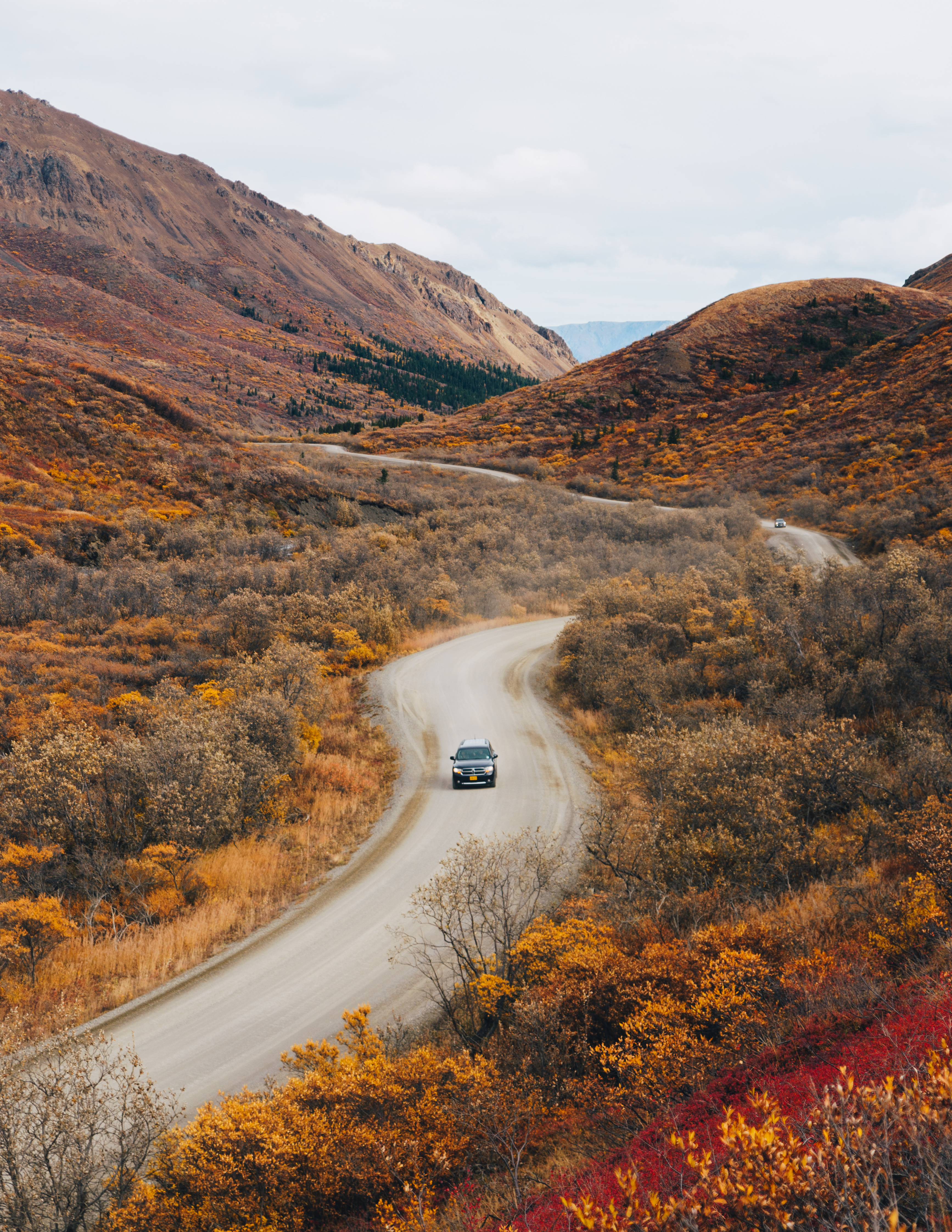 Denali 2.jpg