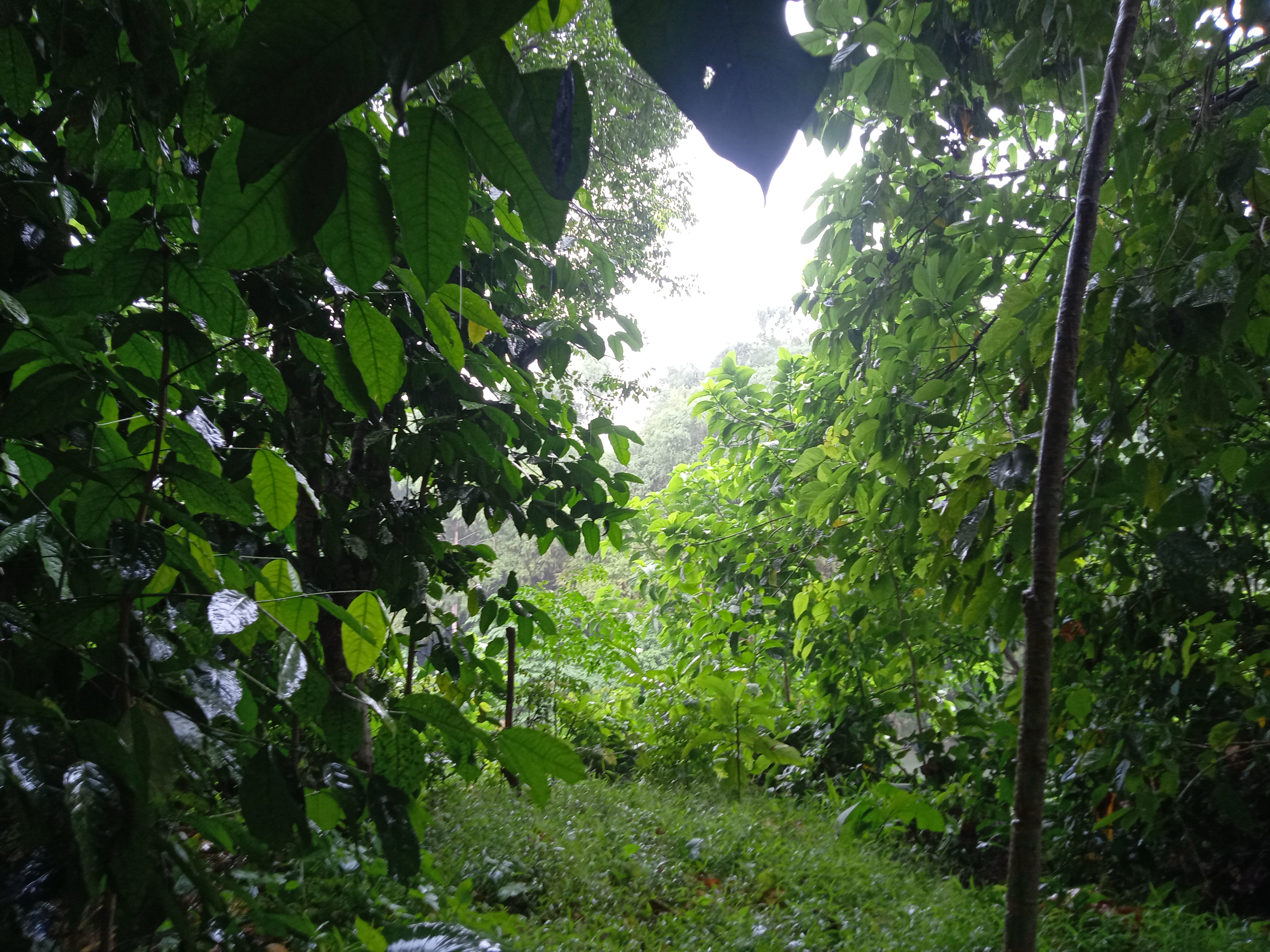 IMG20210531144024.jpg