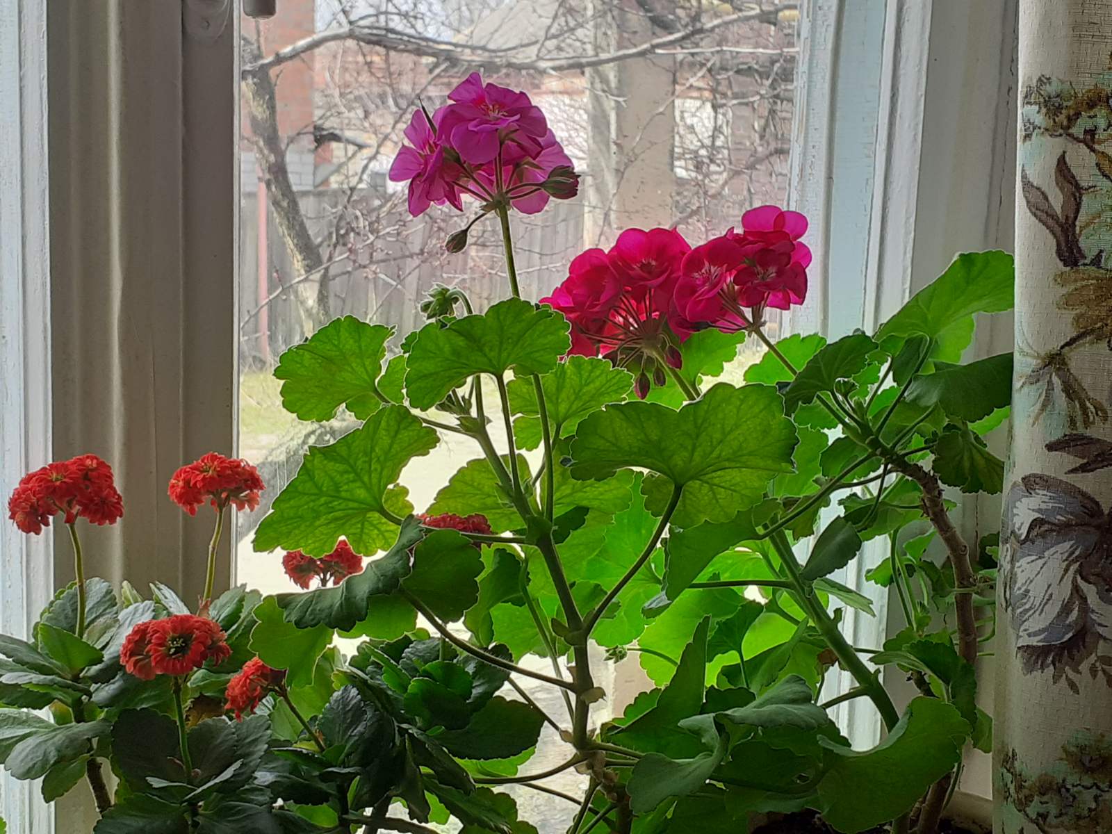 изображение_viber_2021-04-11_13-26-06.jpg