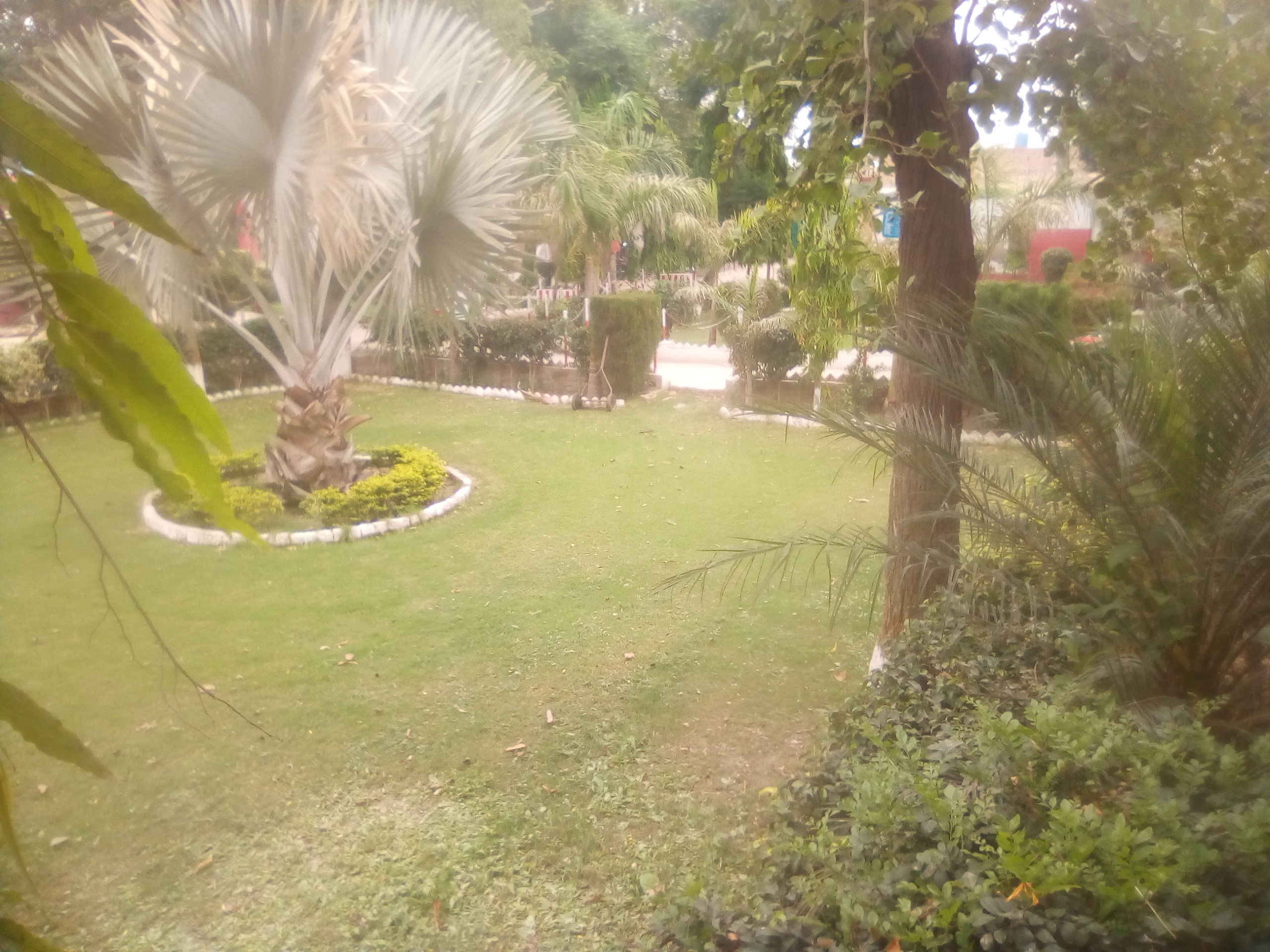IMG_20210506_124258.jpg