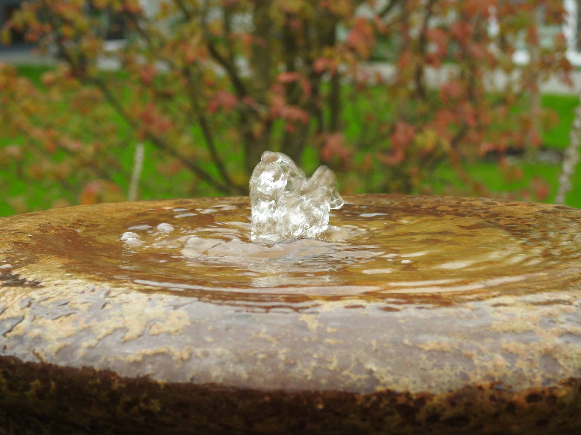 Water fountain минус