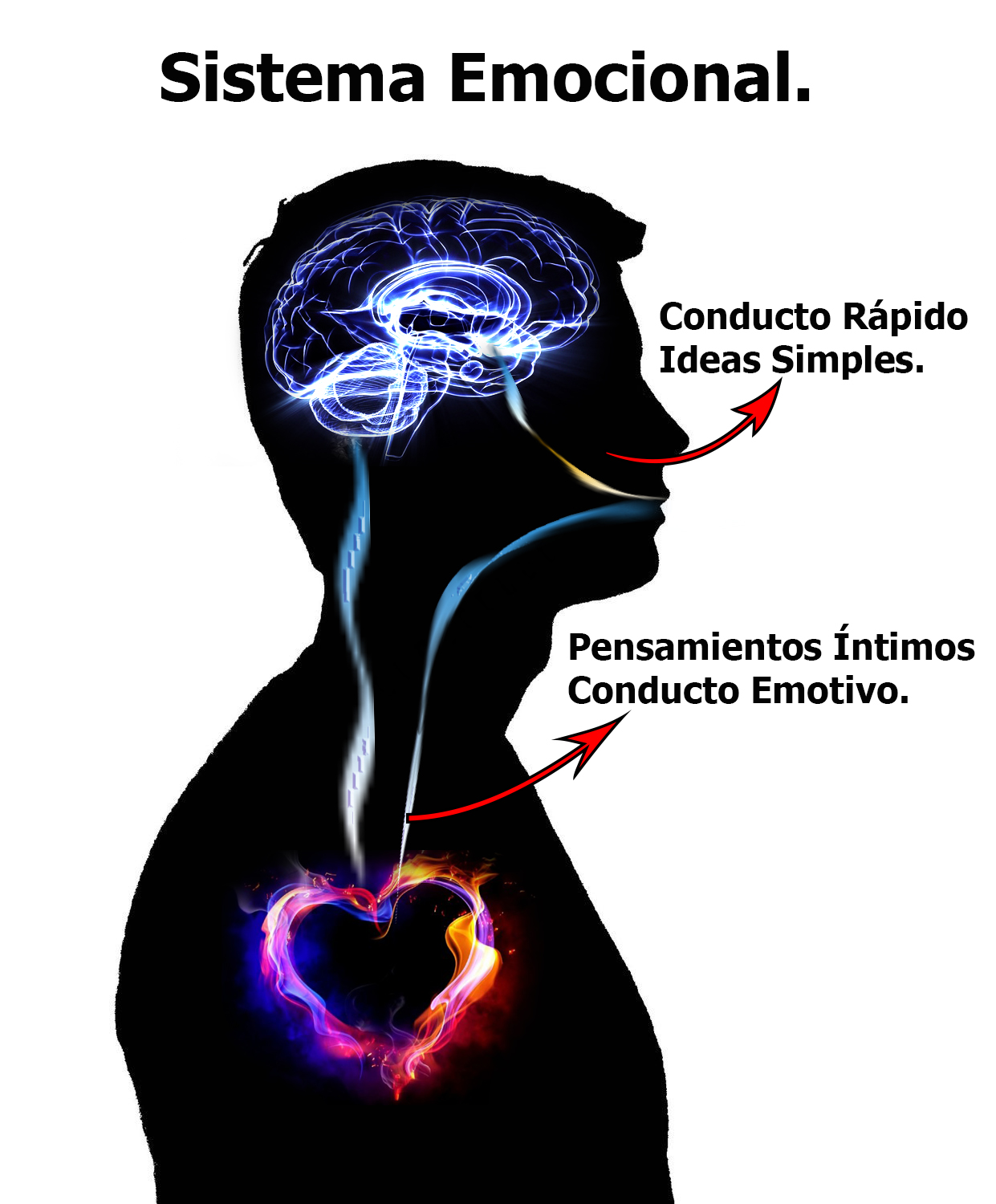 Sistema Emocional.jpg