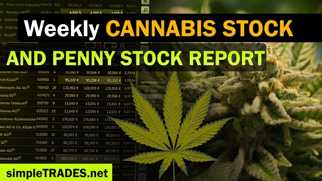 mj stock.jpg