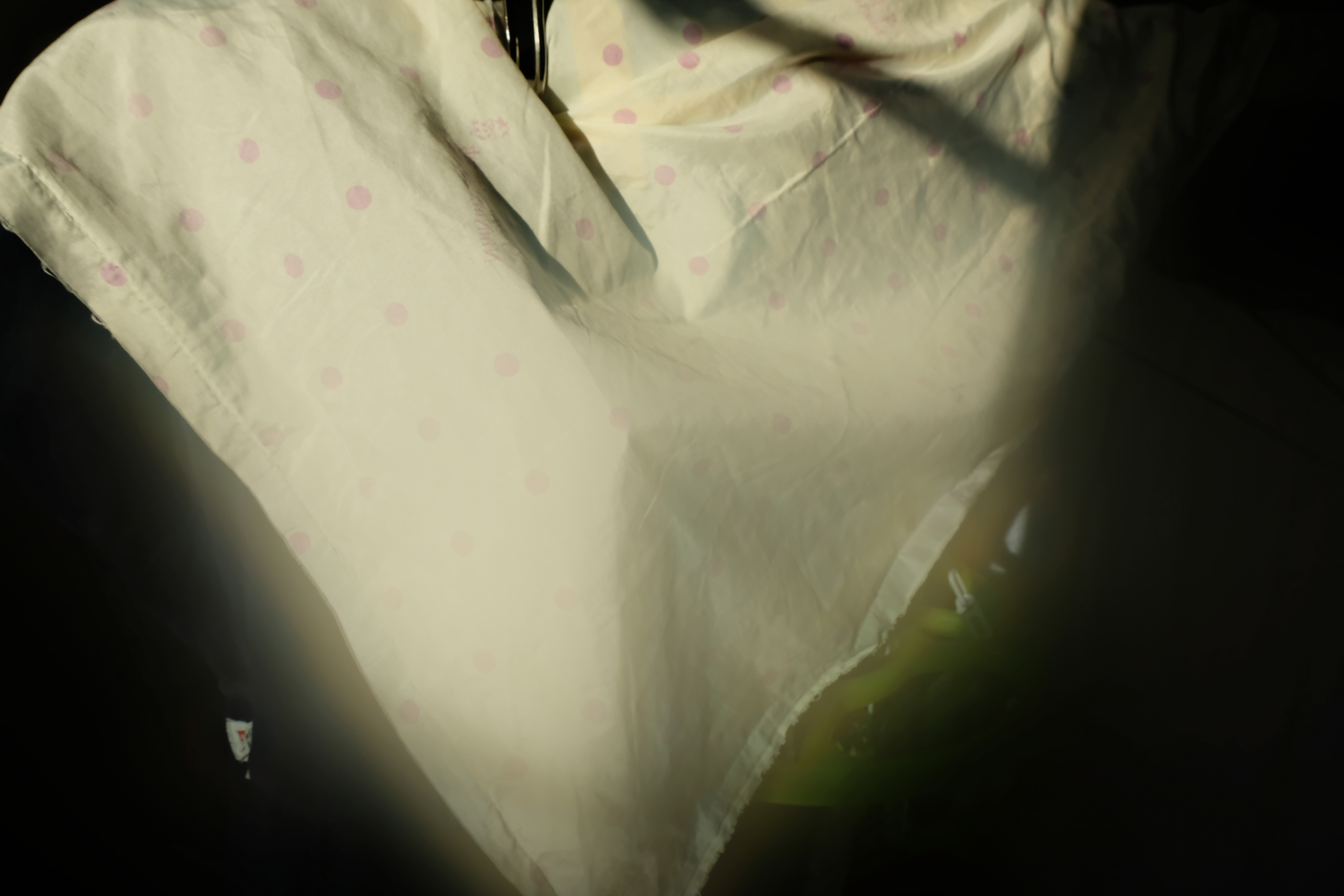 DSCF1319.jpg
