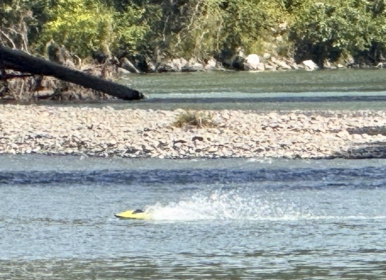 IMG_8330.jpg