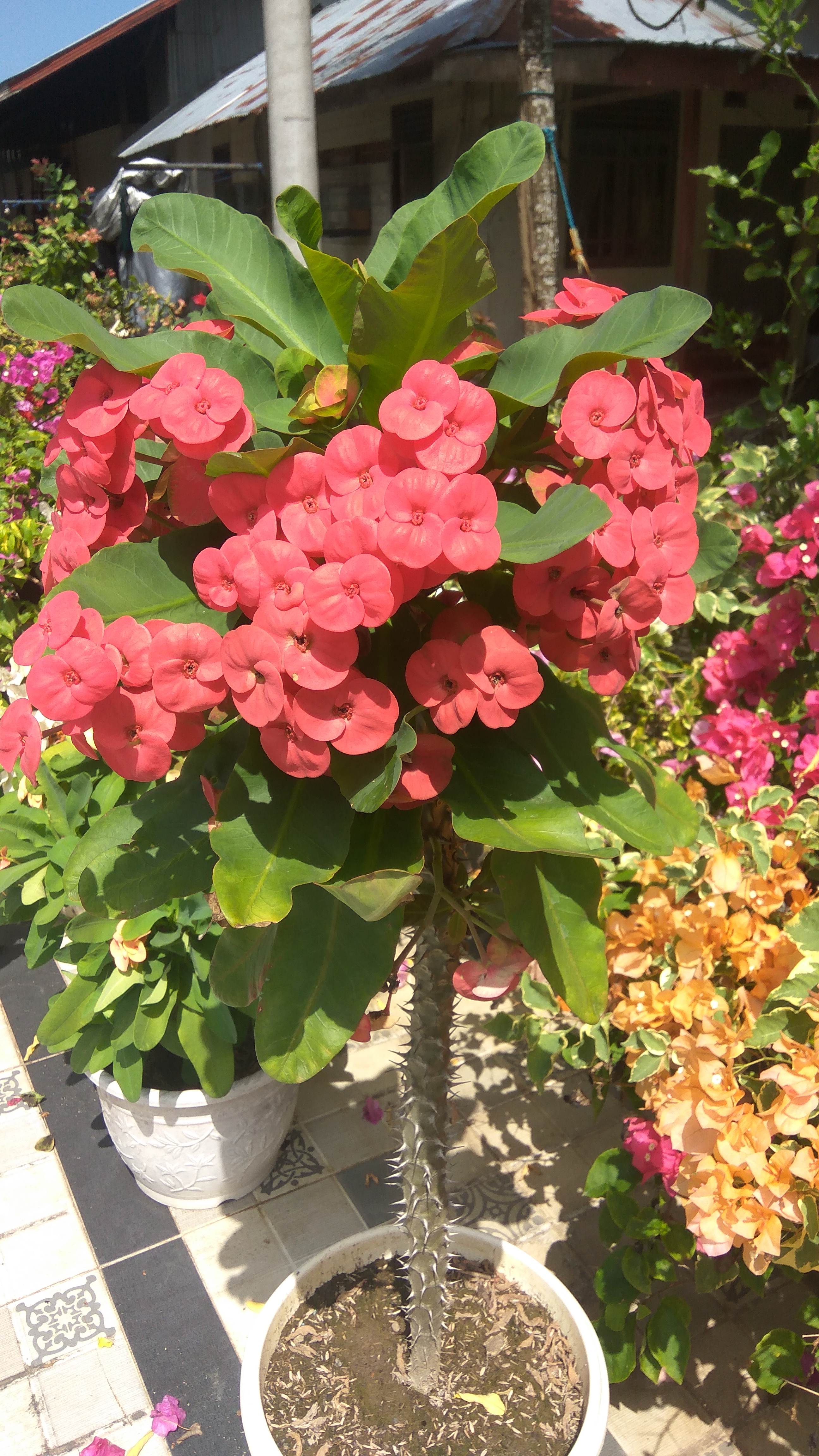 IMG_20220114_133826.jpg