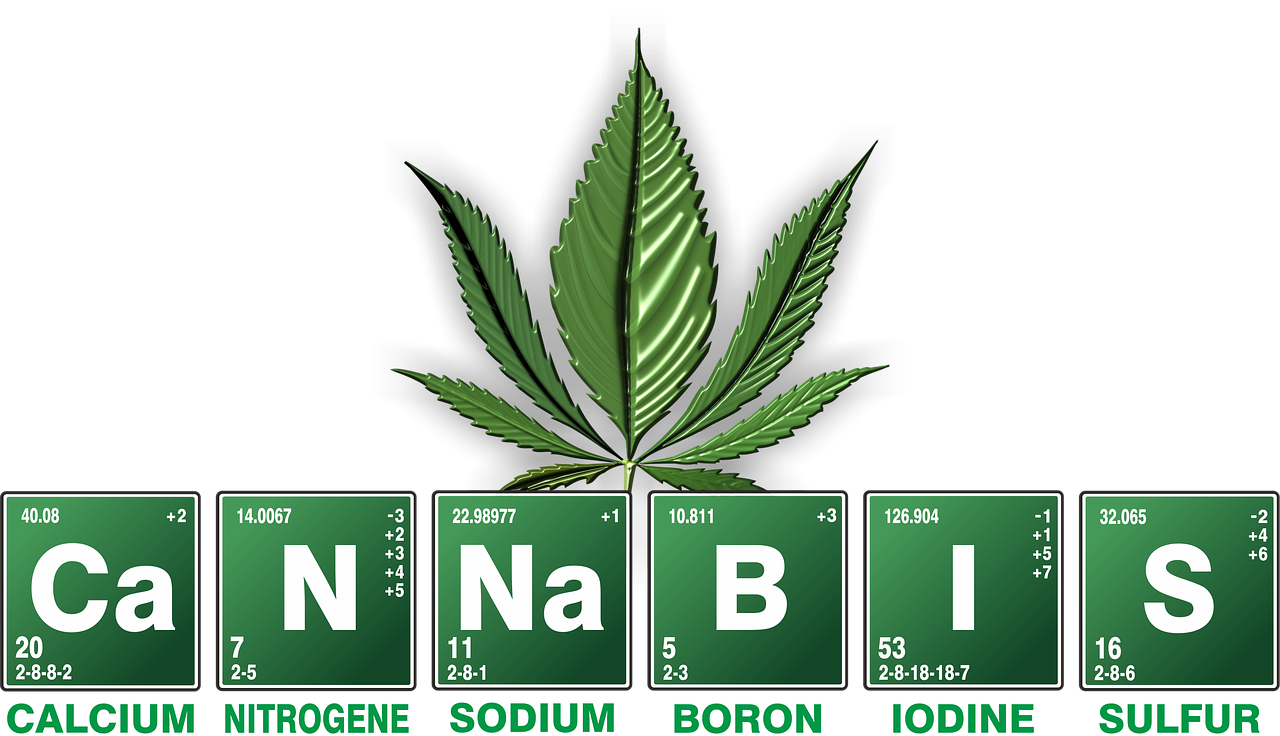 cannabis-2305146_1280.png