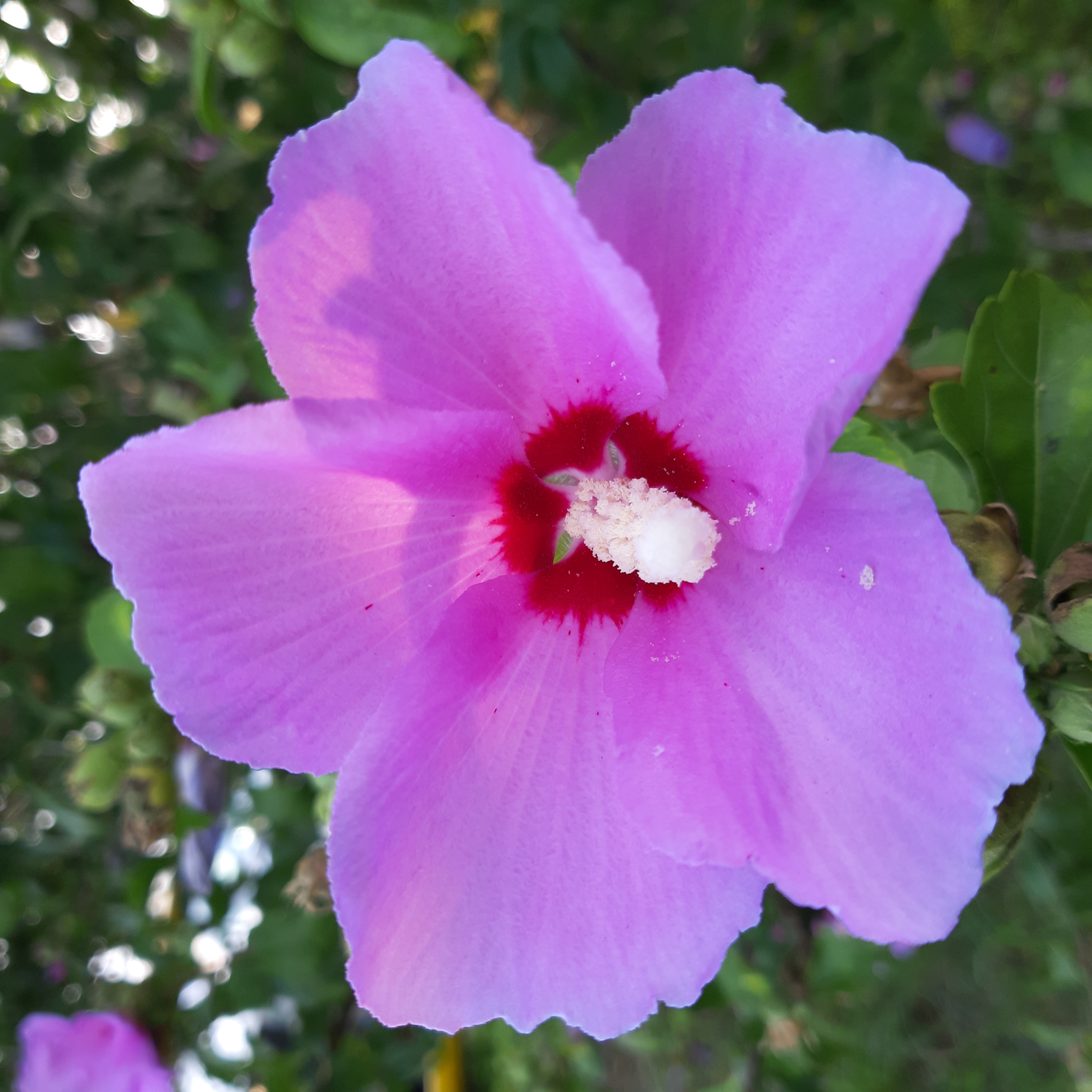 20190916_091229.jpg