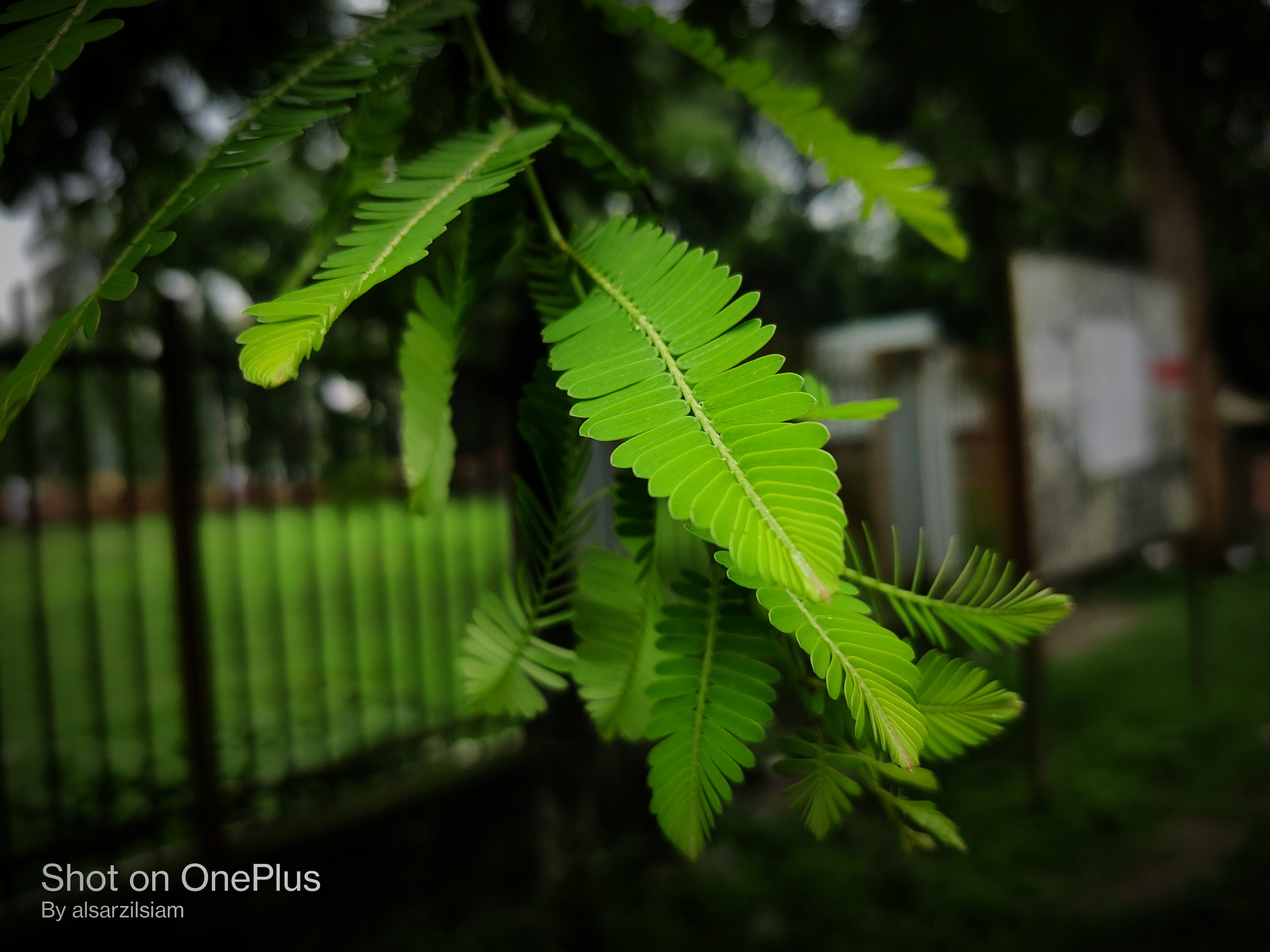 IMG_20220616_140329.jpg