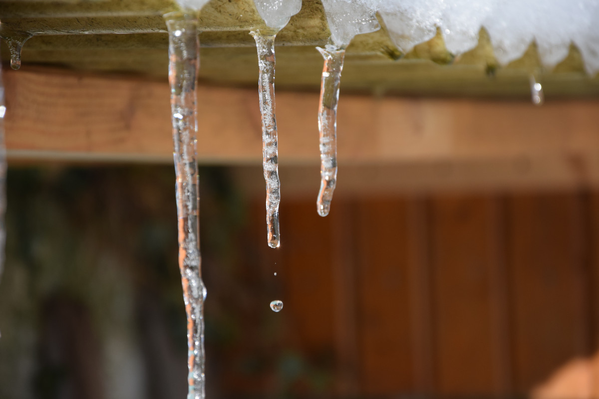 DSC_0017_1.JPG