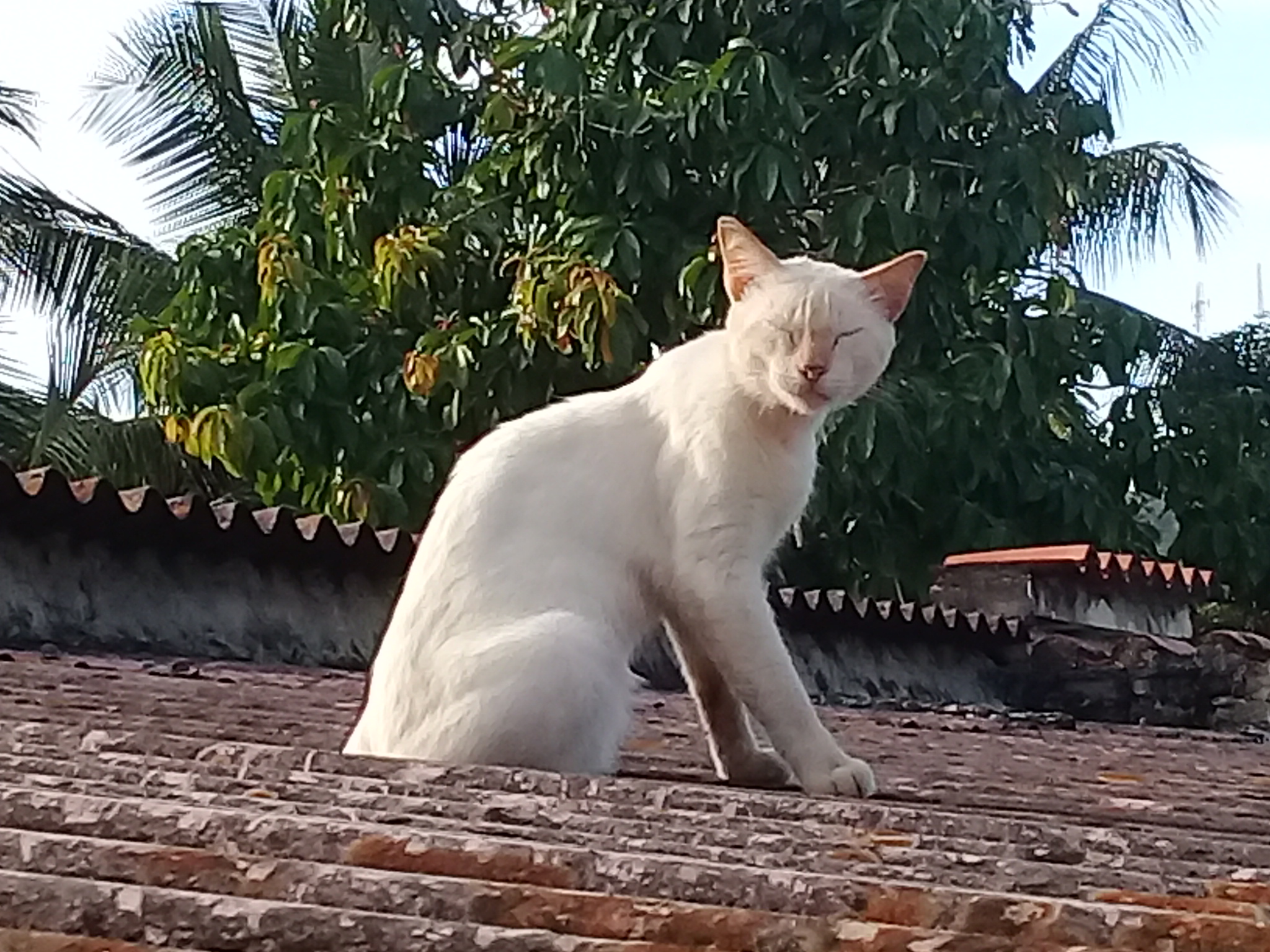 20220313_170606.jpg