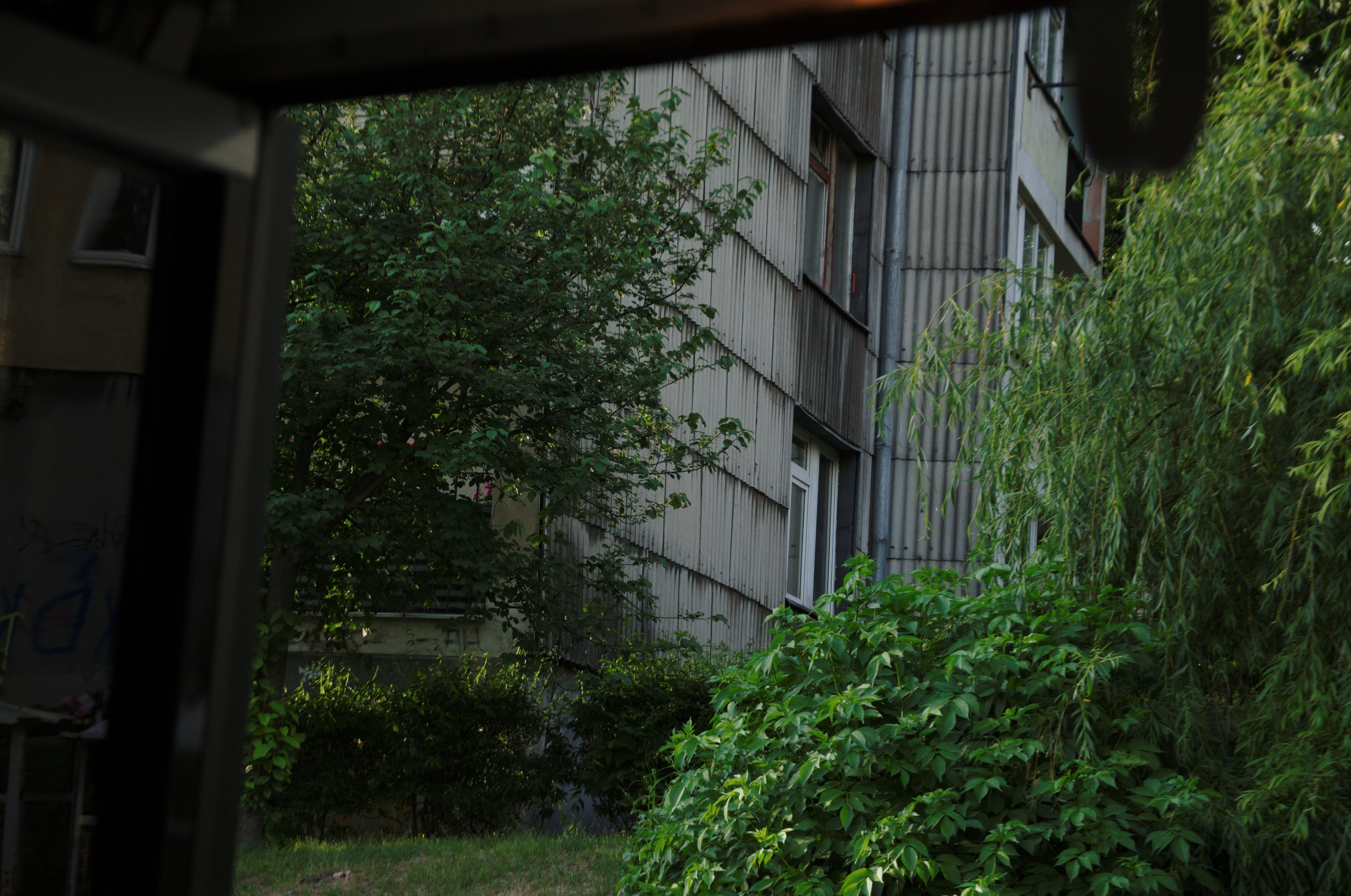 DSC_1263.jpg
