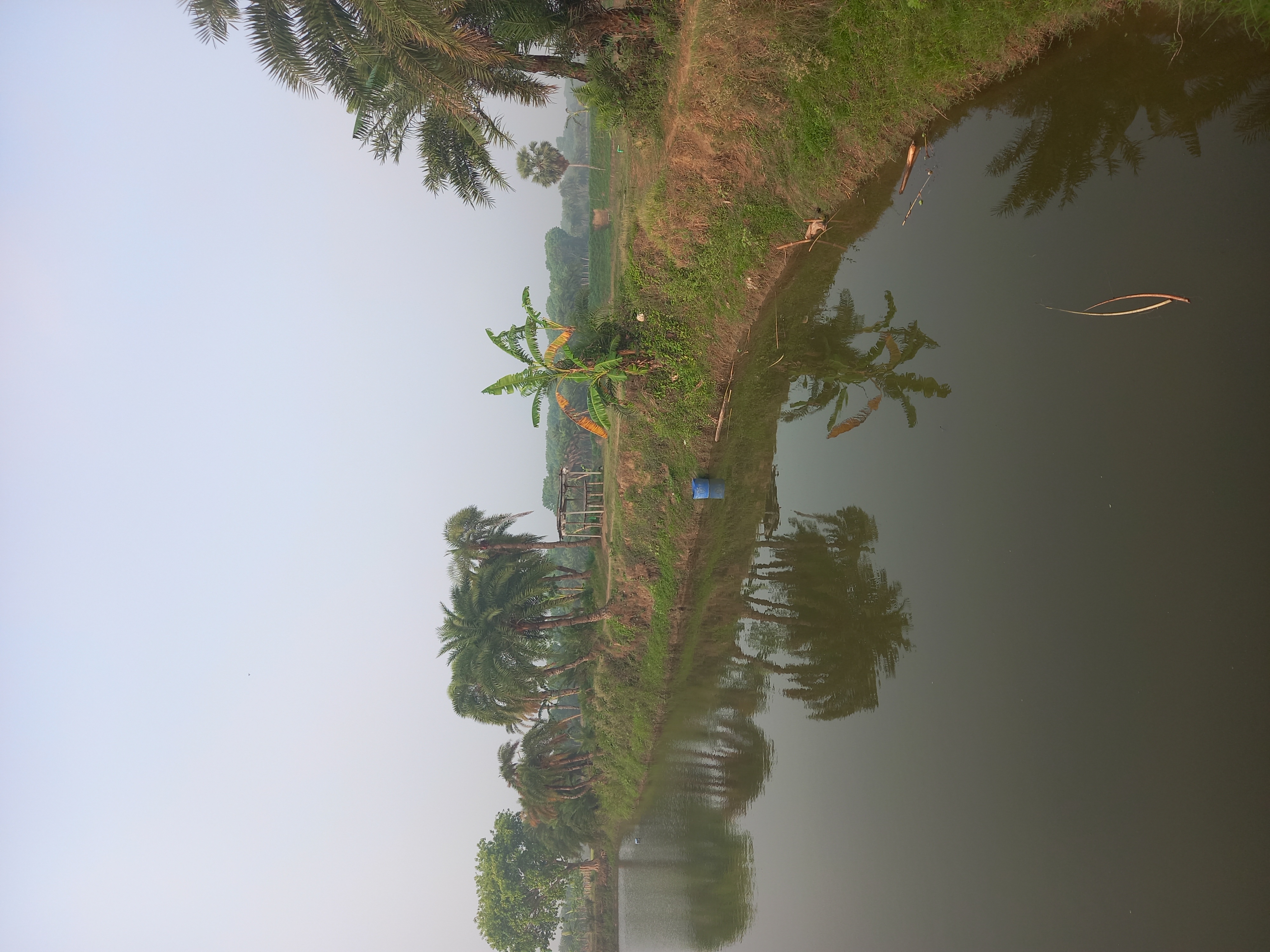 1000077438.jpg