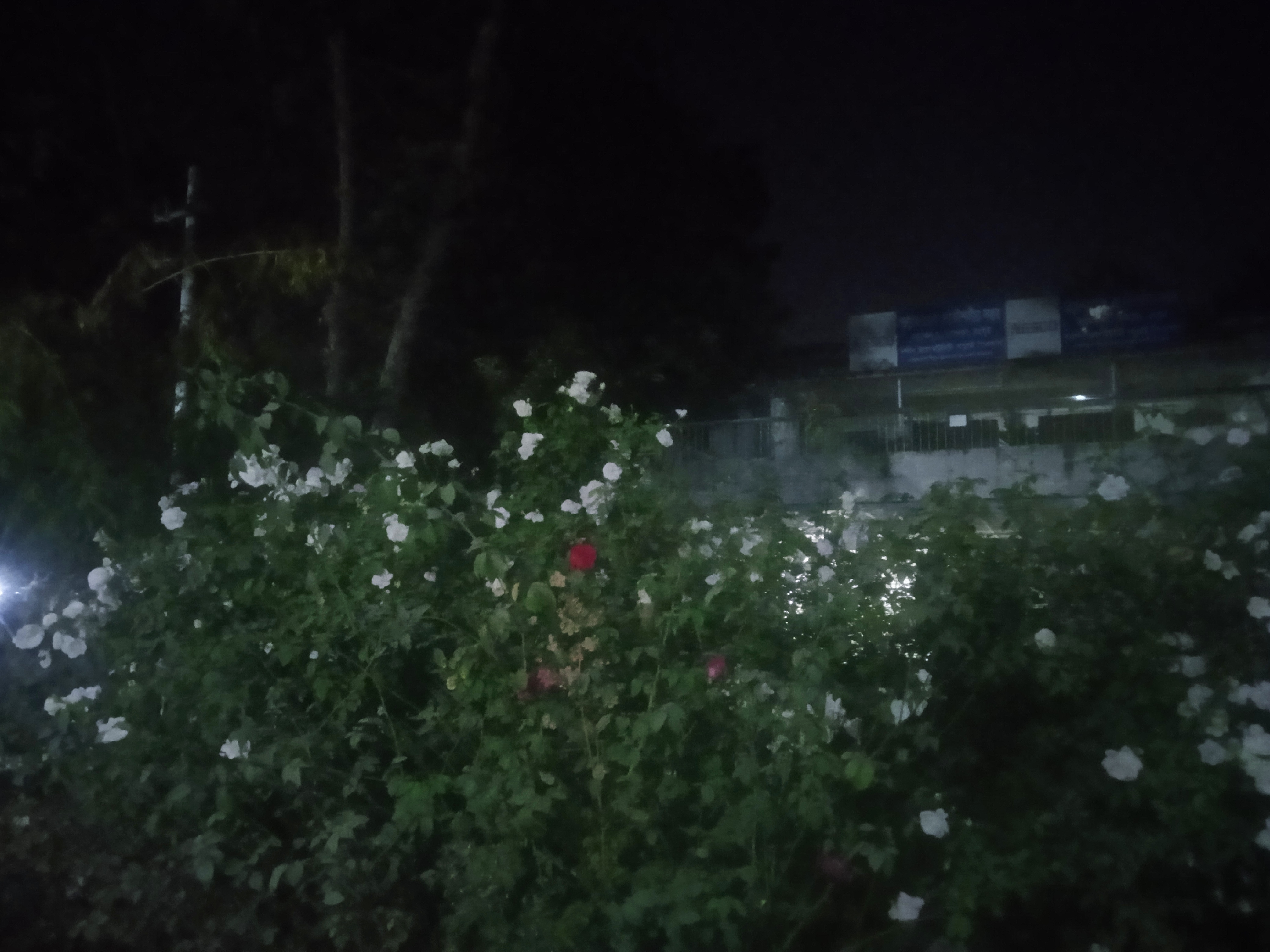 IMG_20260222_203100.jpg