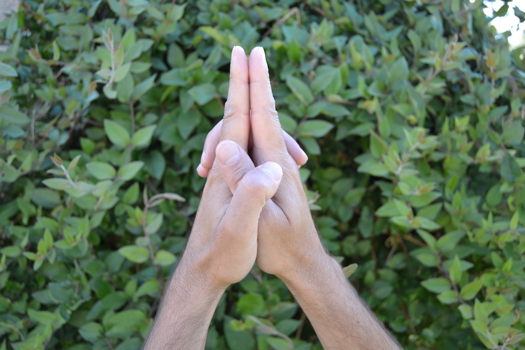 ksepana-mudra.jpg