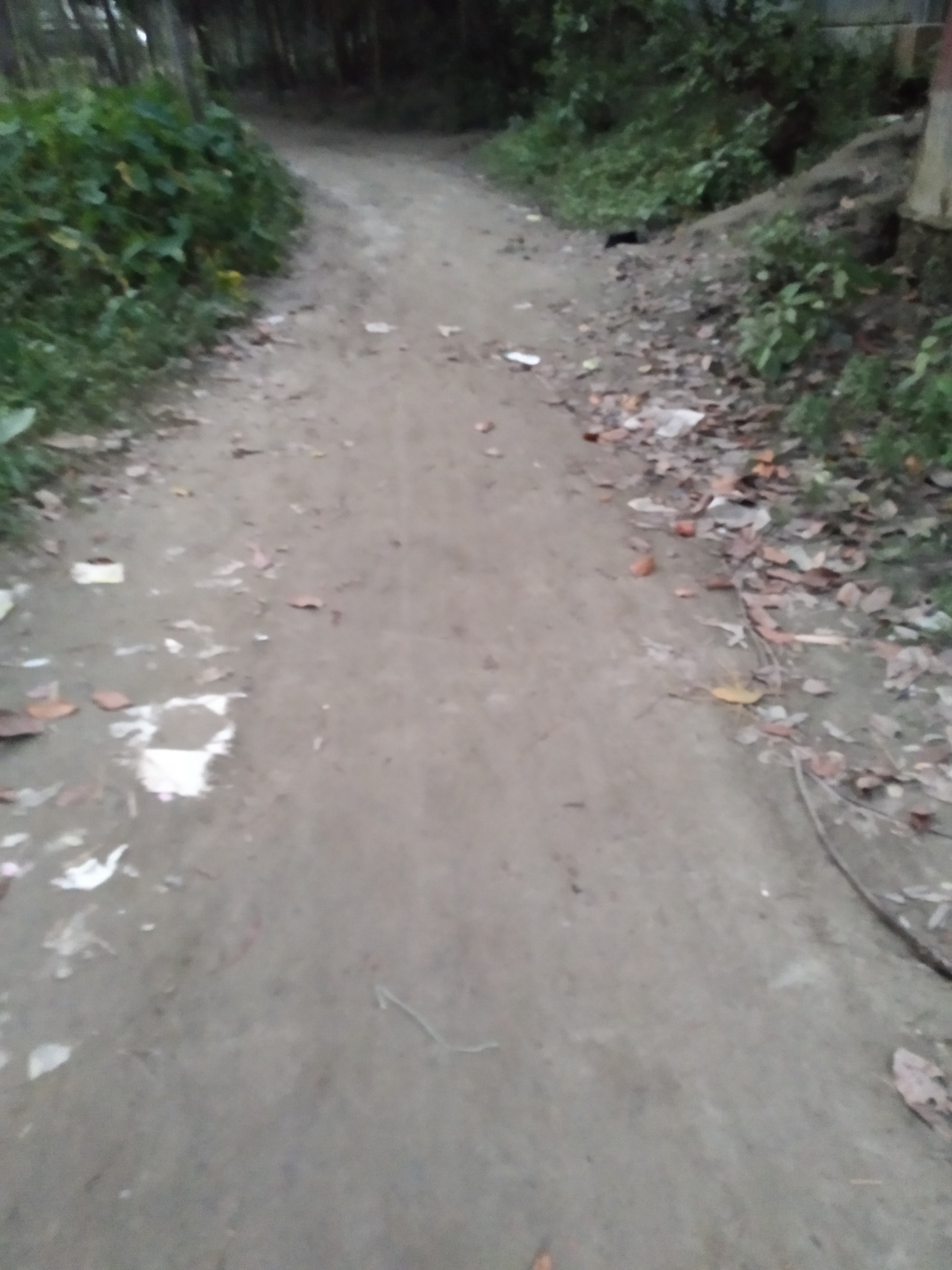 IMG_20201103_173103.jpg