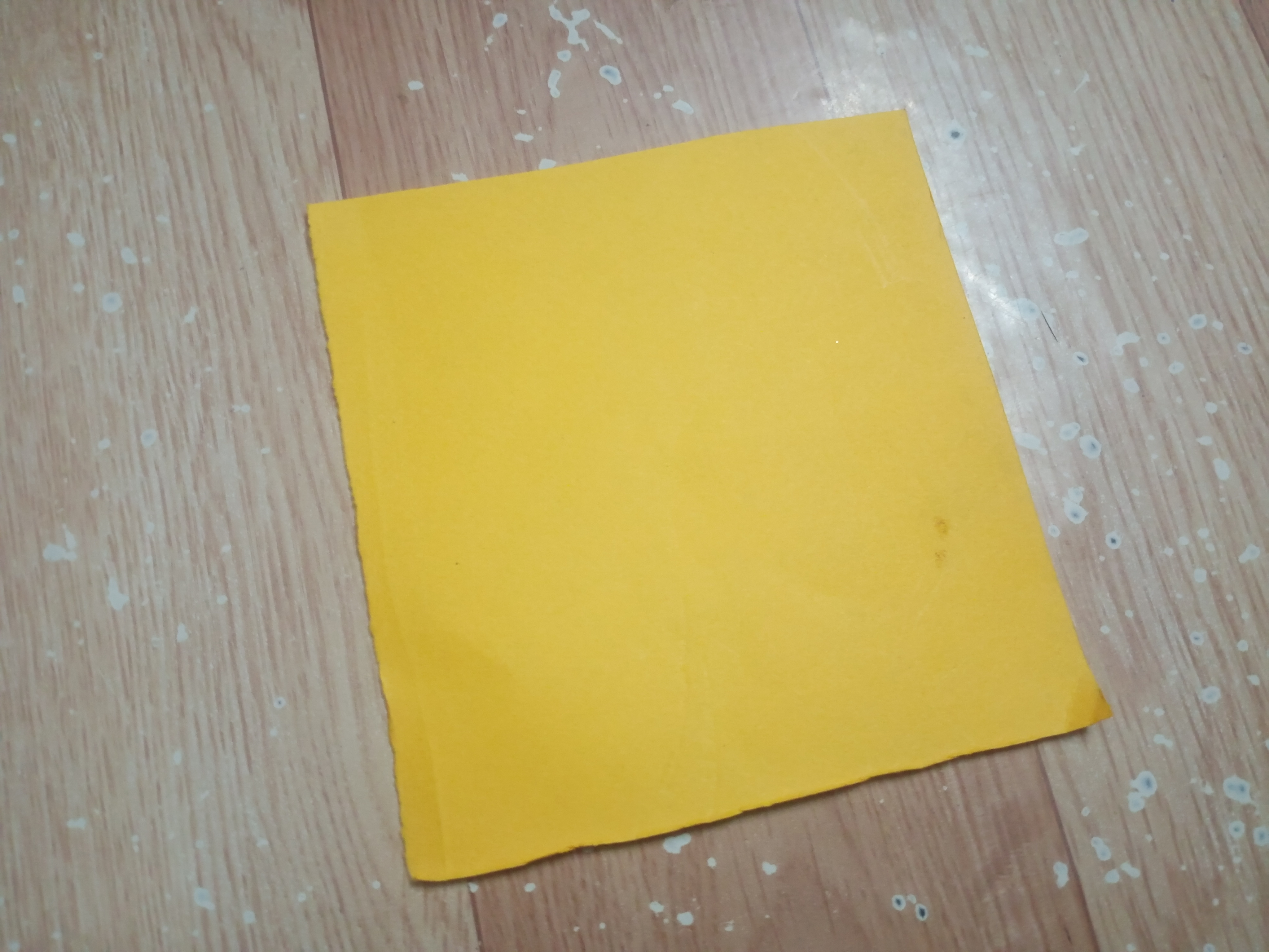 IMG20260731173621.jpg