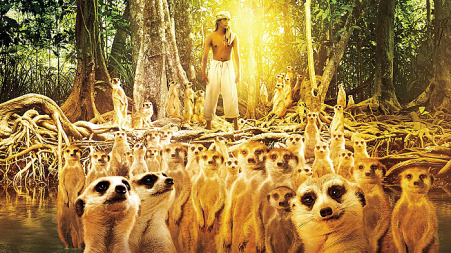 meercats-and-pi-on-island.jpg