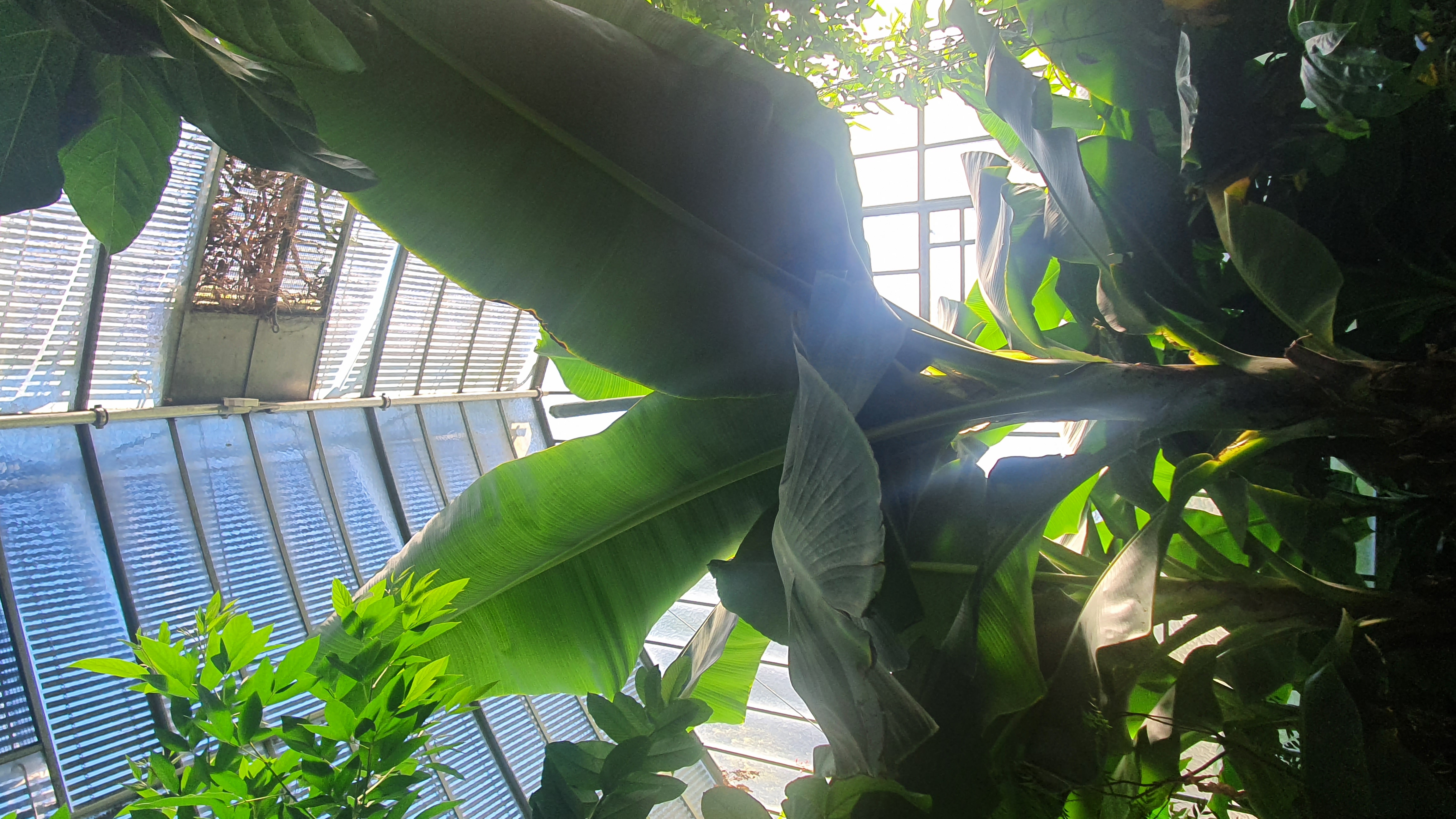 20220912_170606.jpg