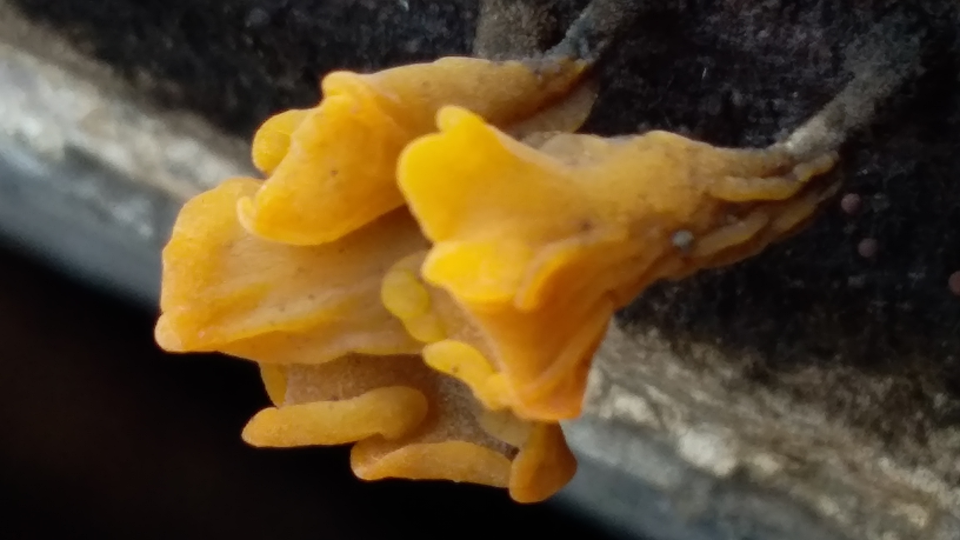 20220216_125531.jpg