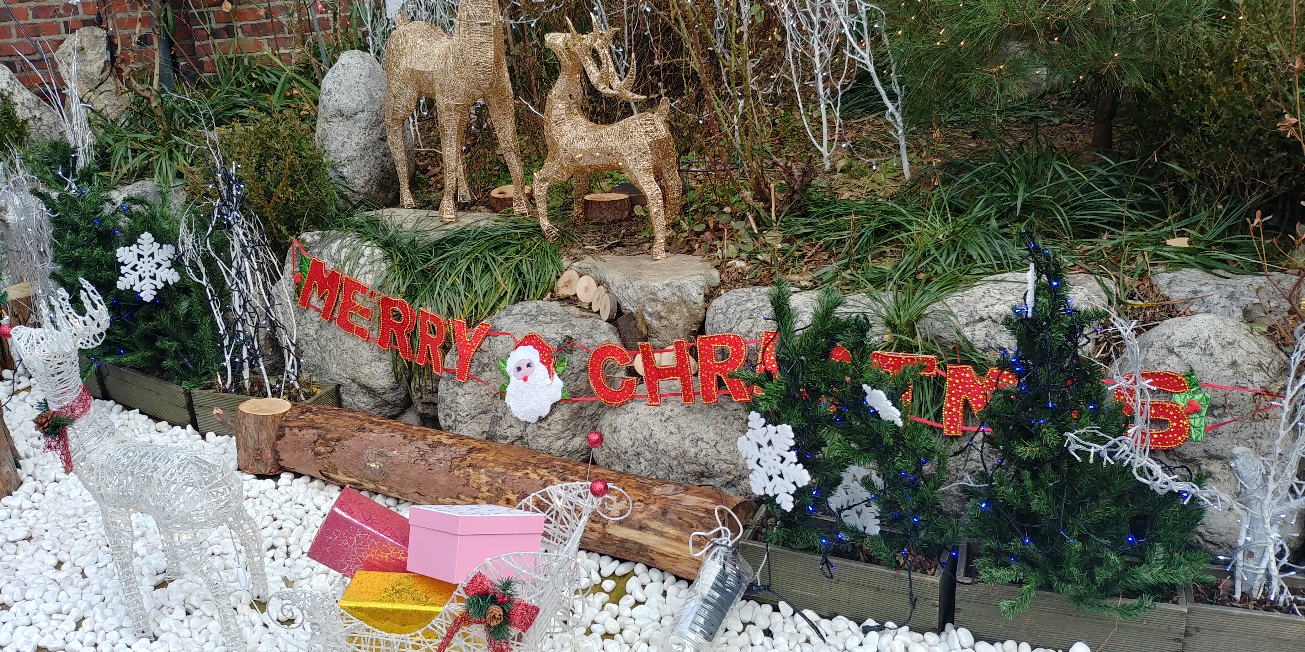 20191225_141118_HDR.jpg