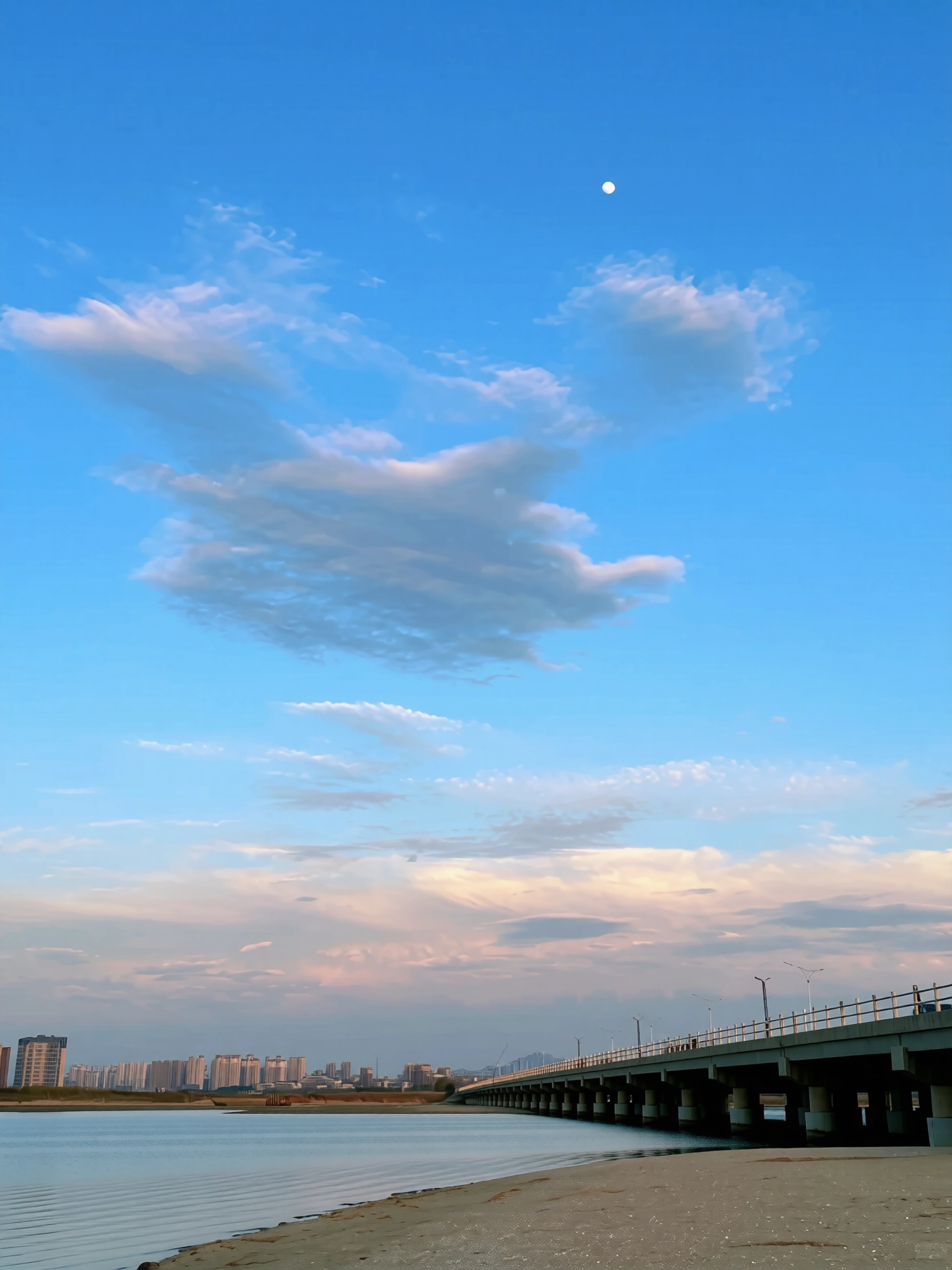 349.webp