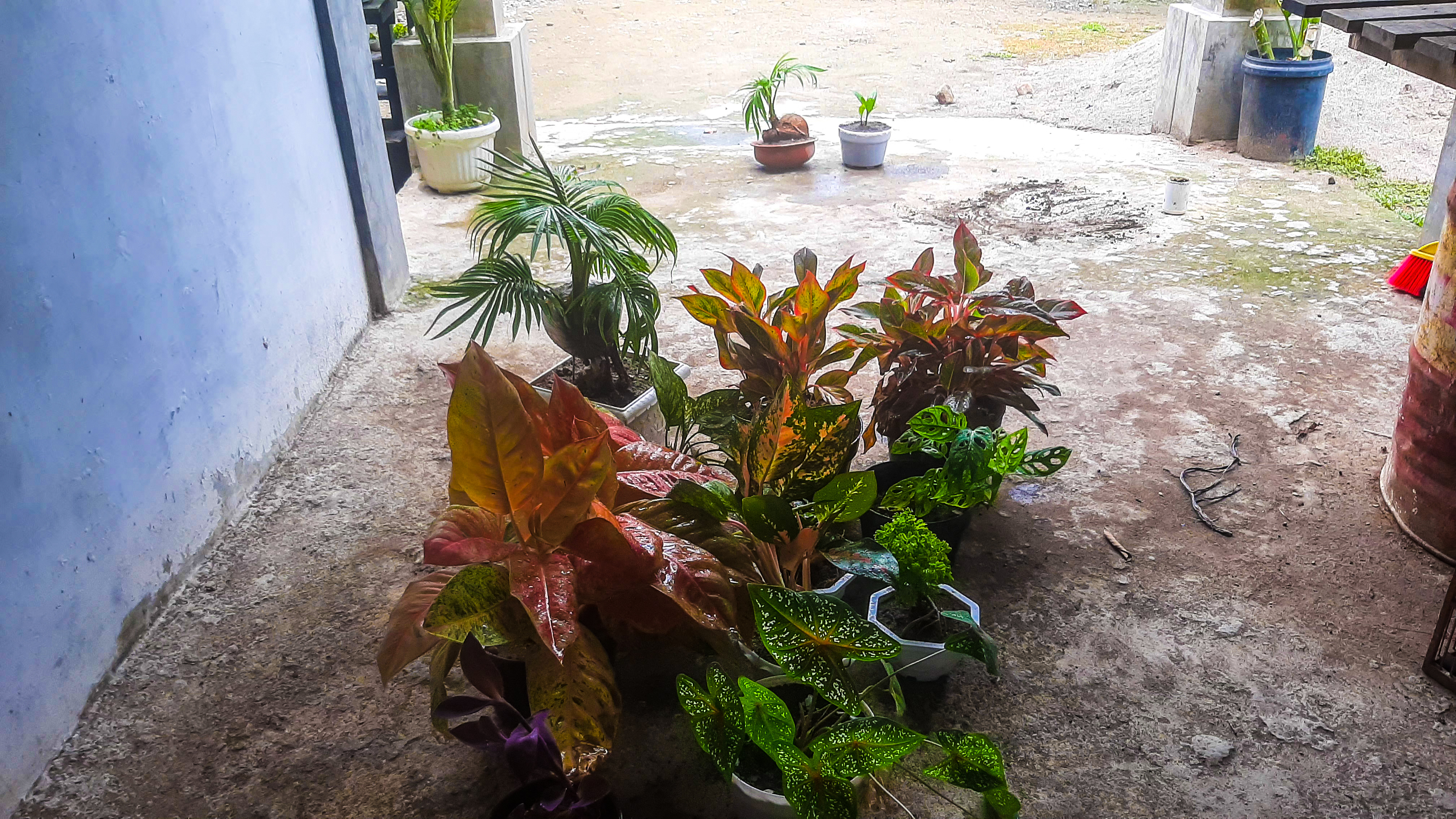 20210920_115553.jpg