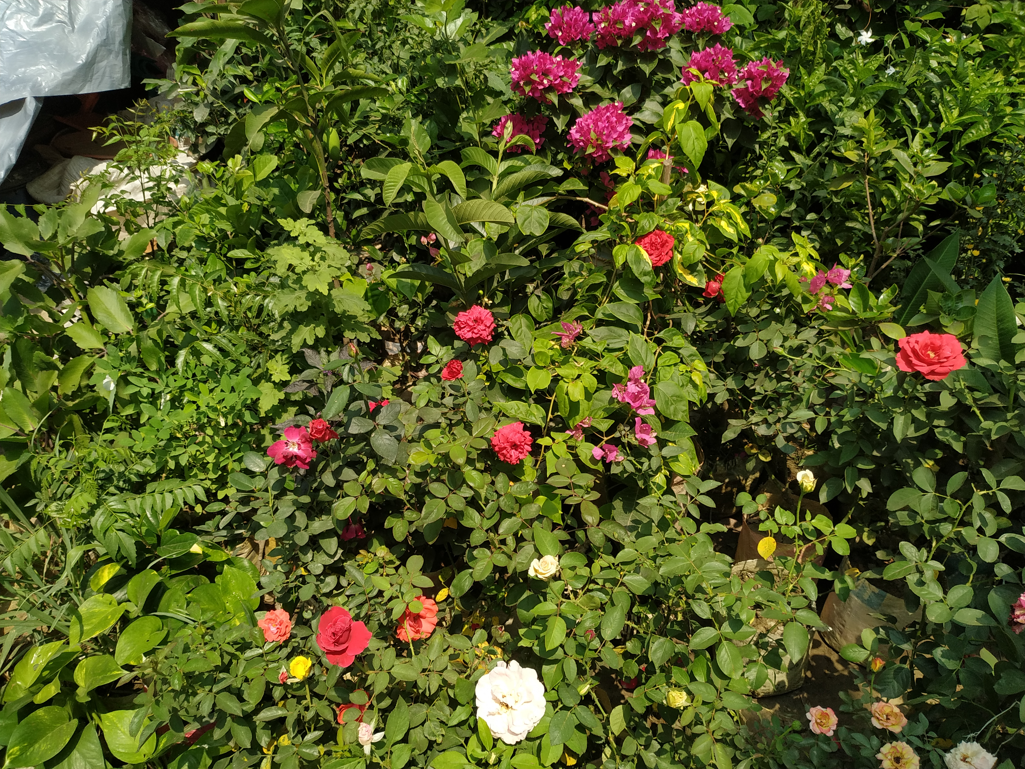 IMG_20260421_103430.jpg