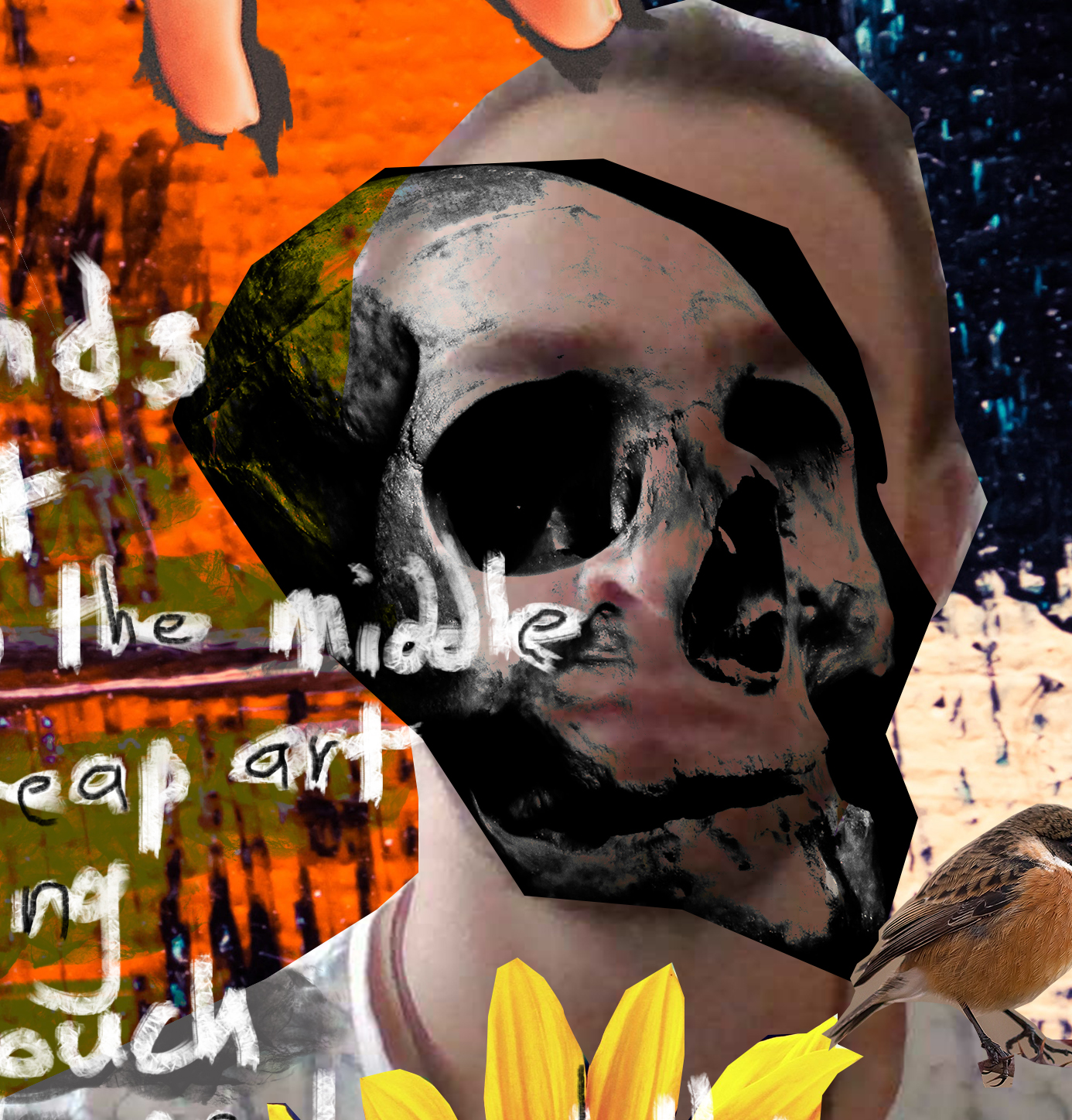 skull.jpg