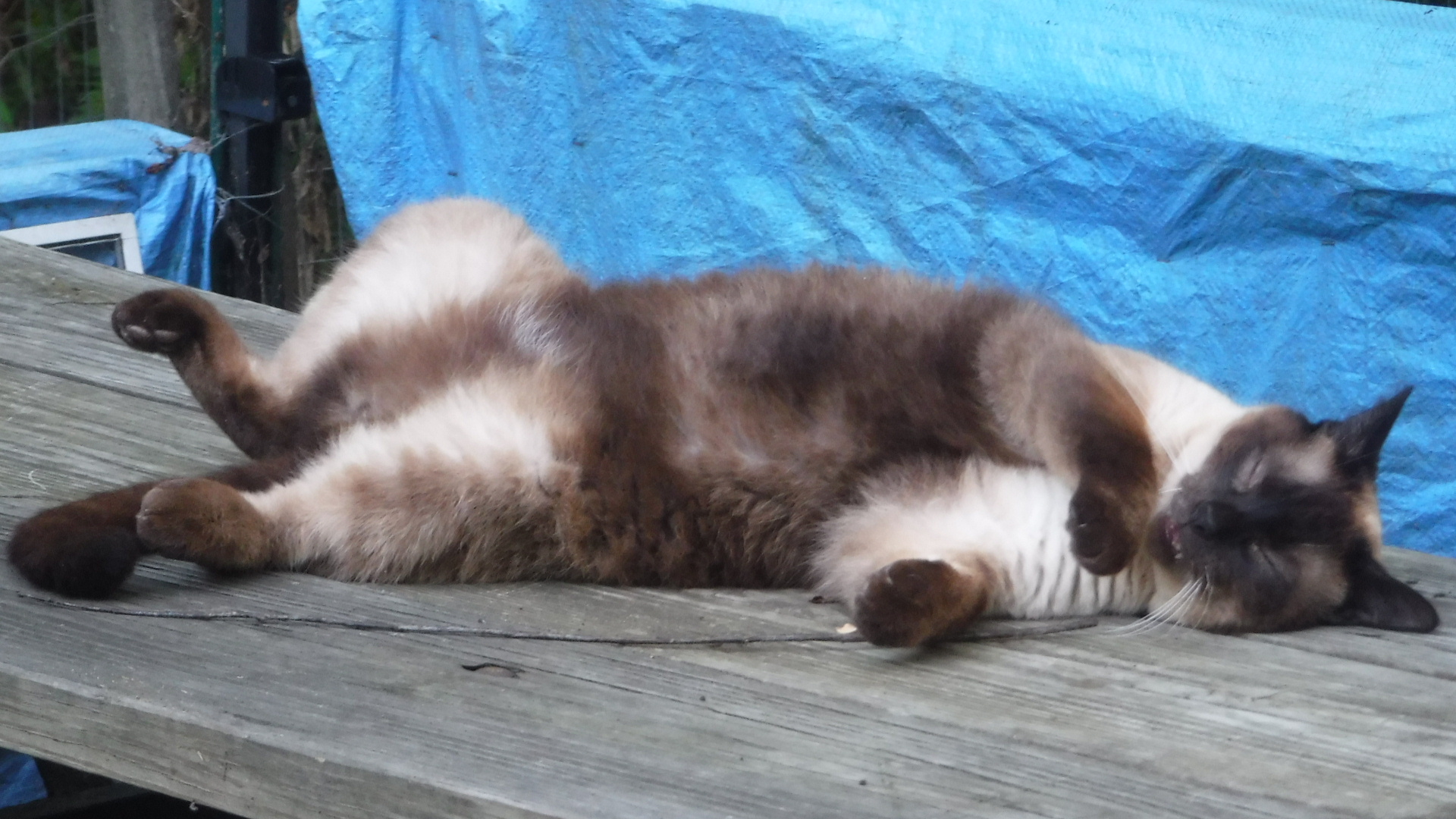 DSCF6210.JPG