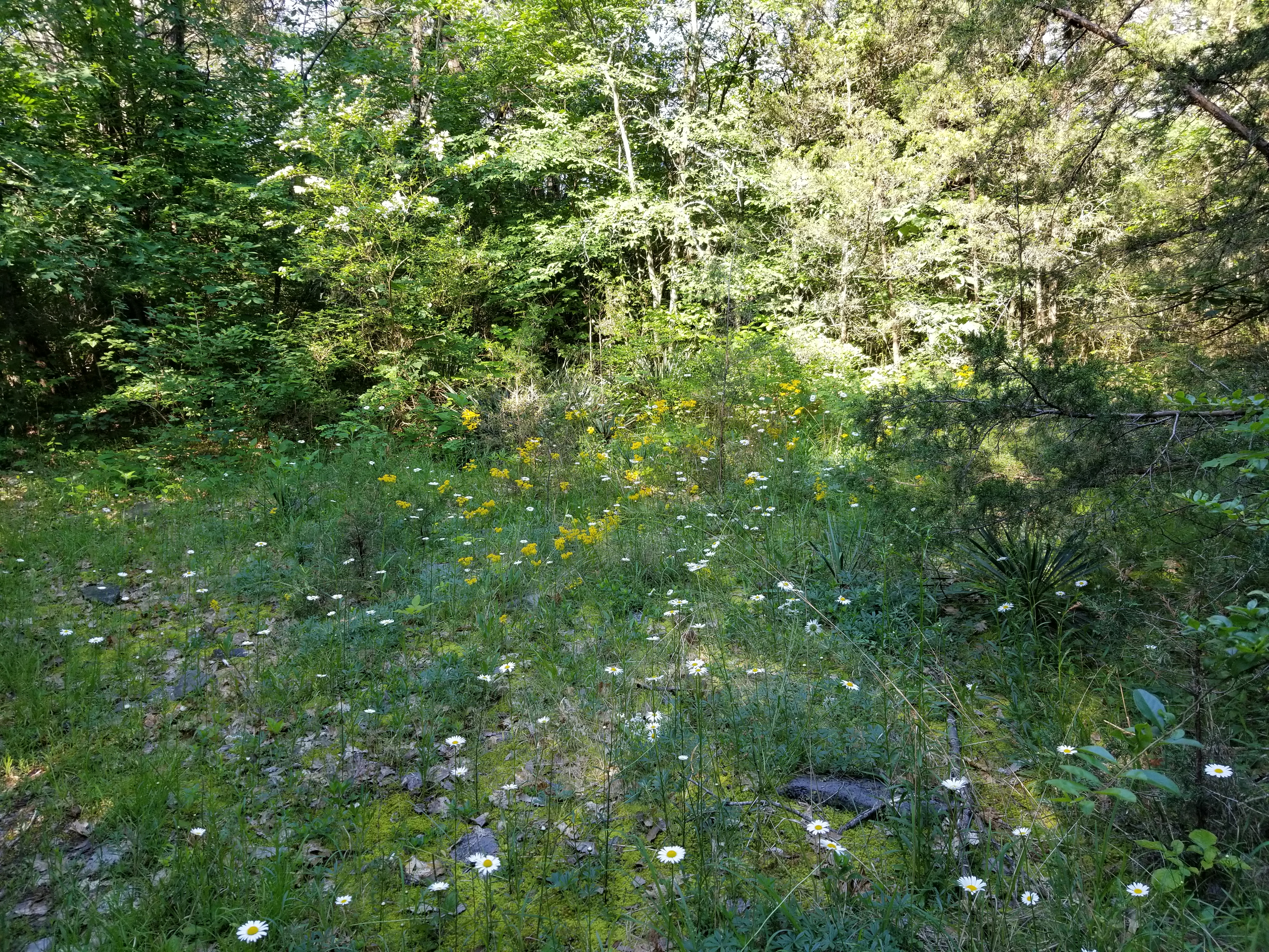 20190517_083521.jpg