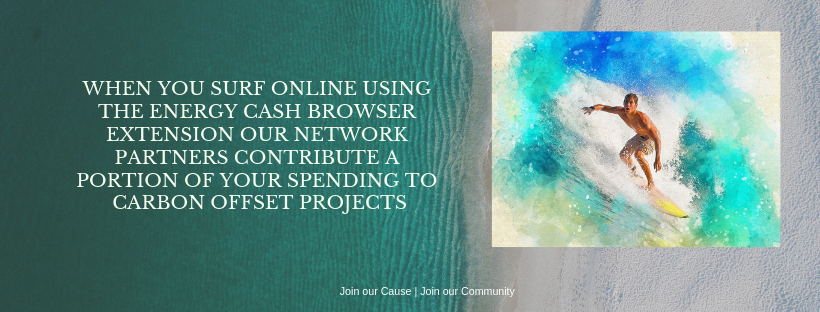 surfing header website.png