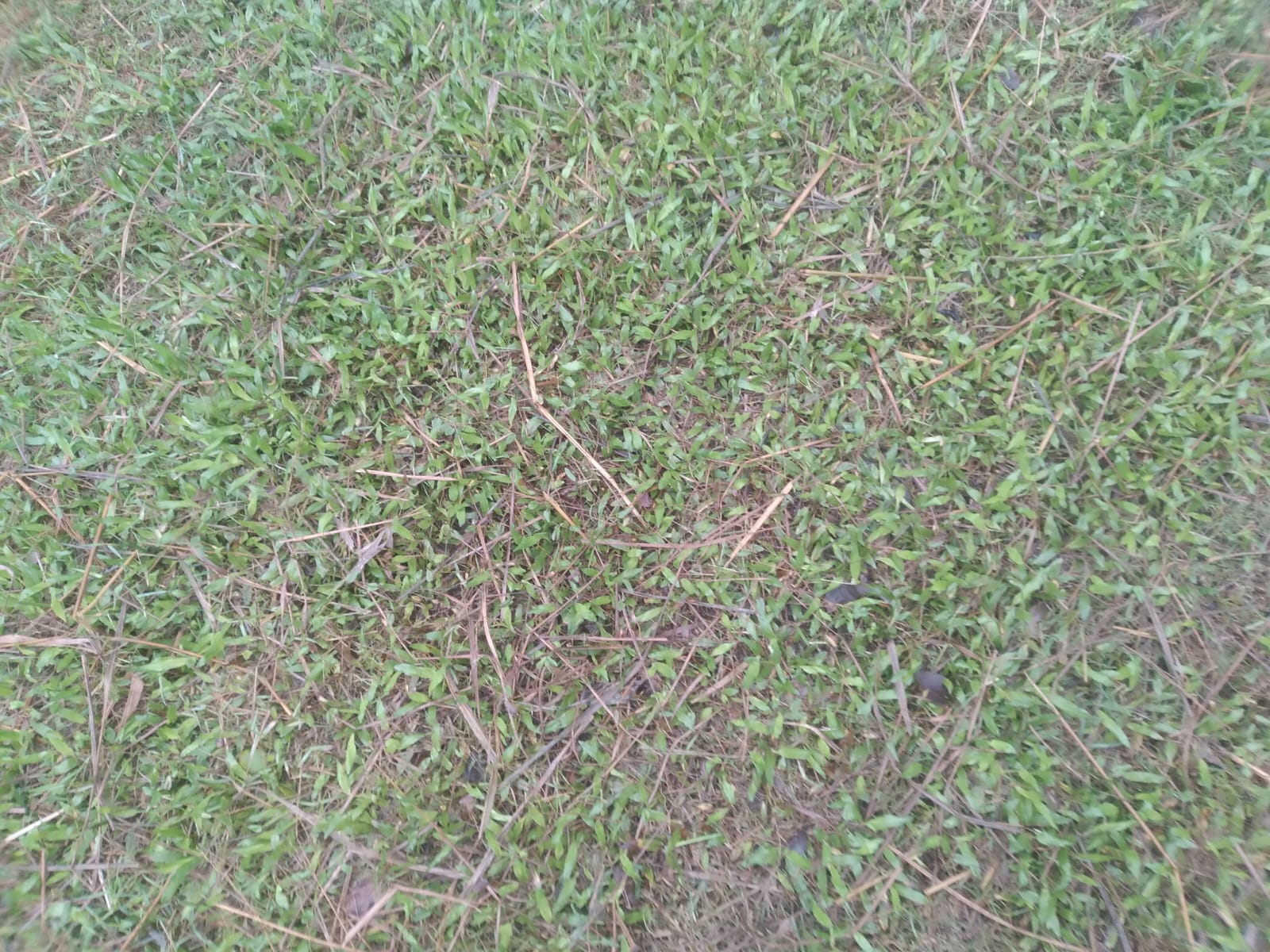 IMG-20260521-0007.jpg