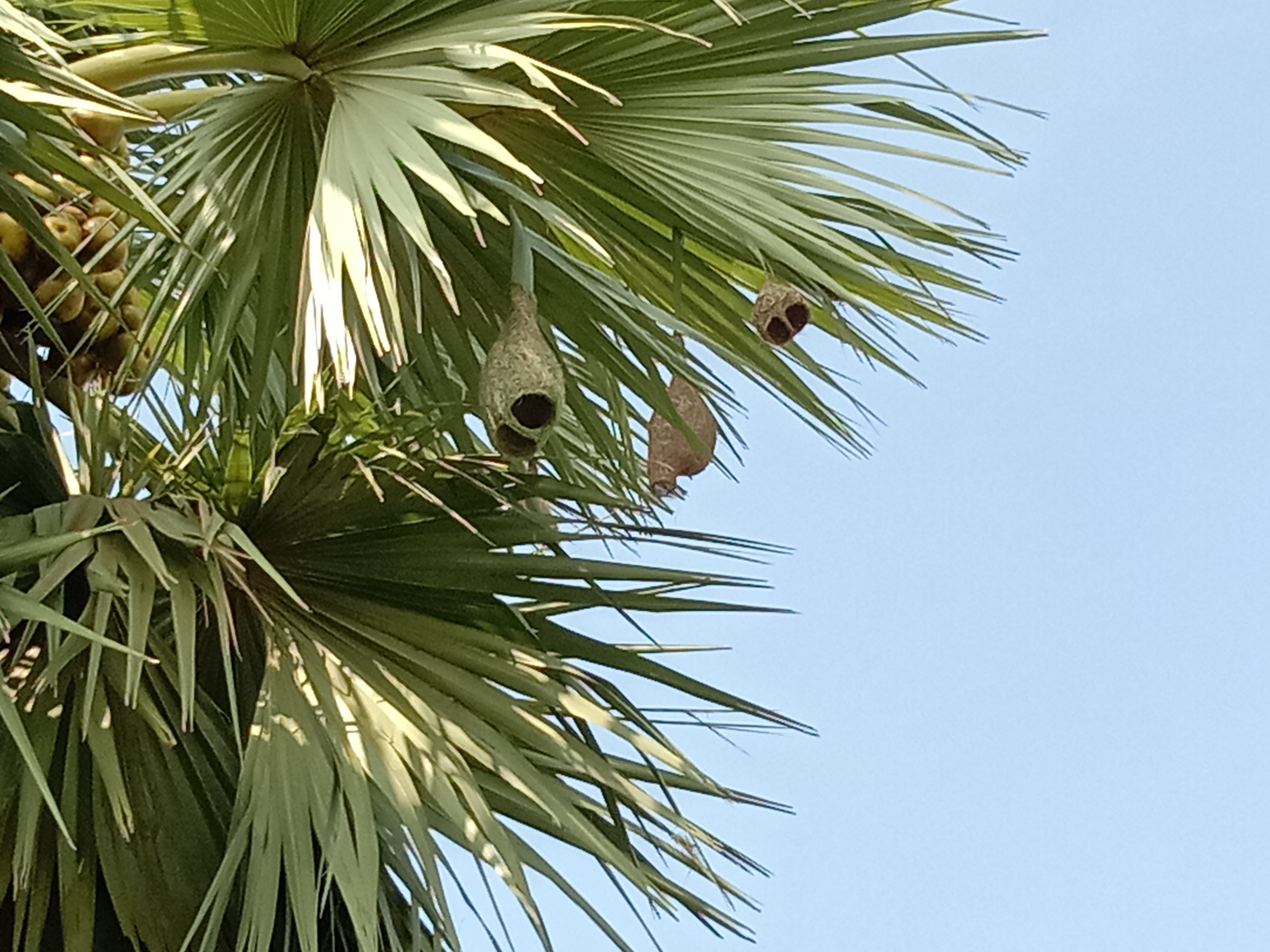 IMG_20230709_090848.jpg