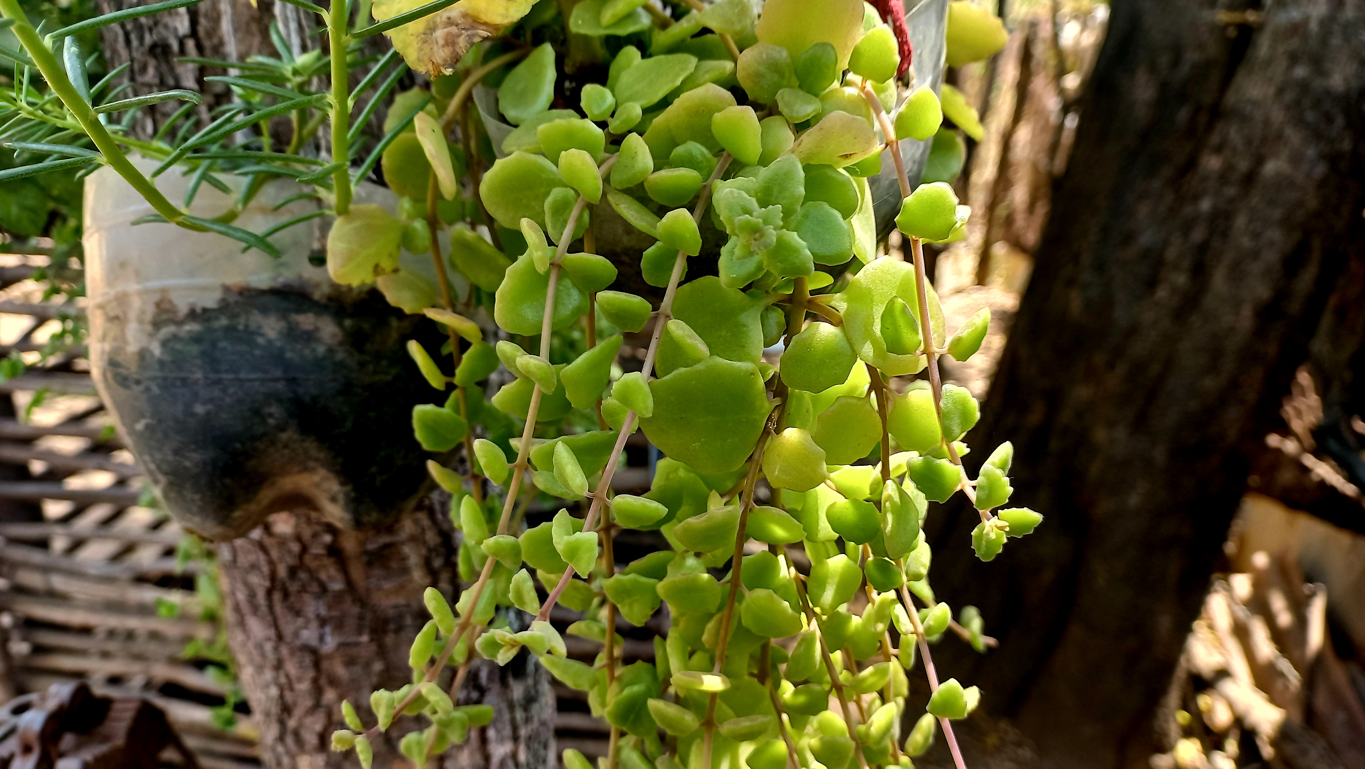 20260225_122820.jpg